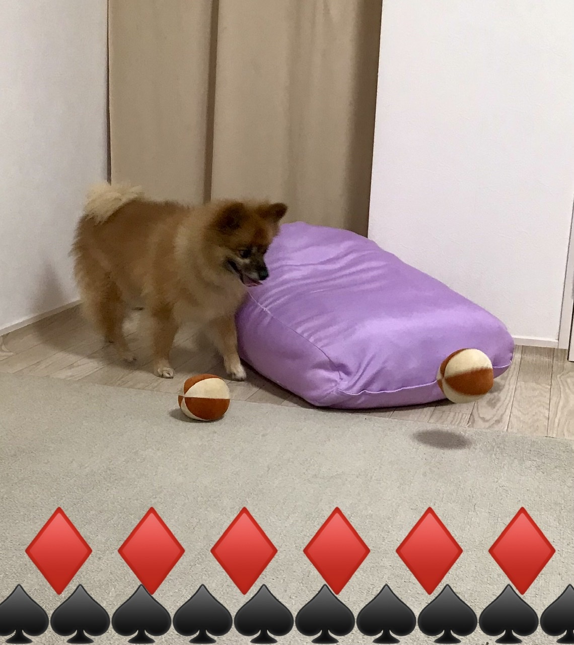 アップロードファイル 339KB