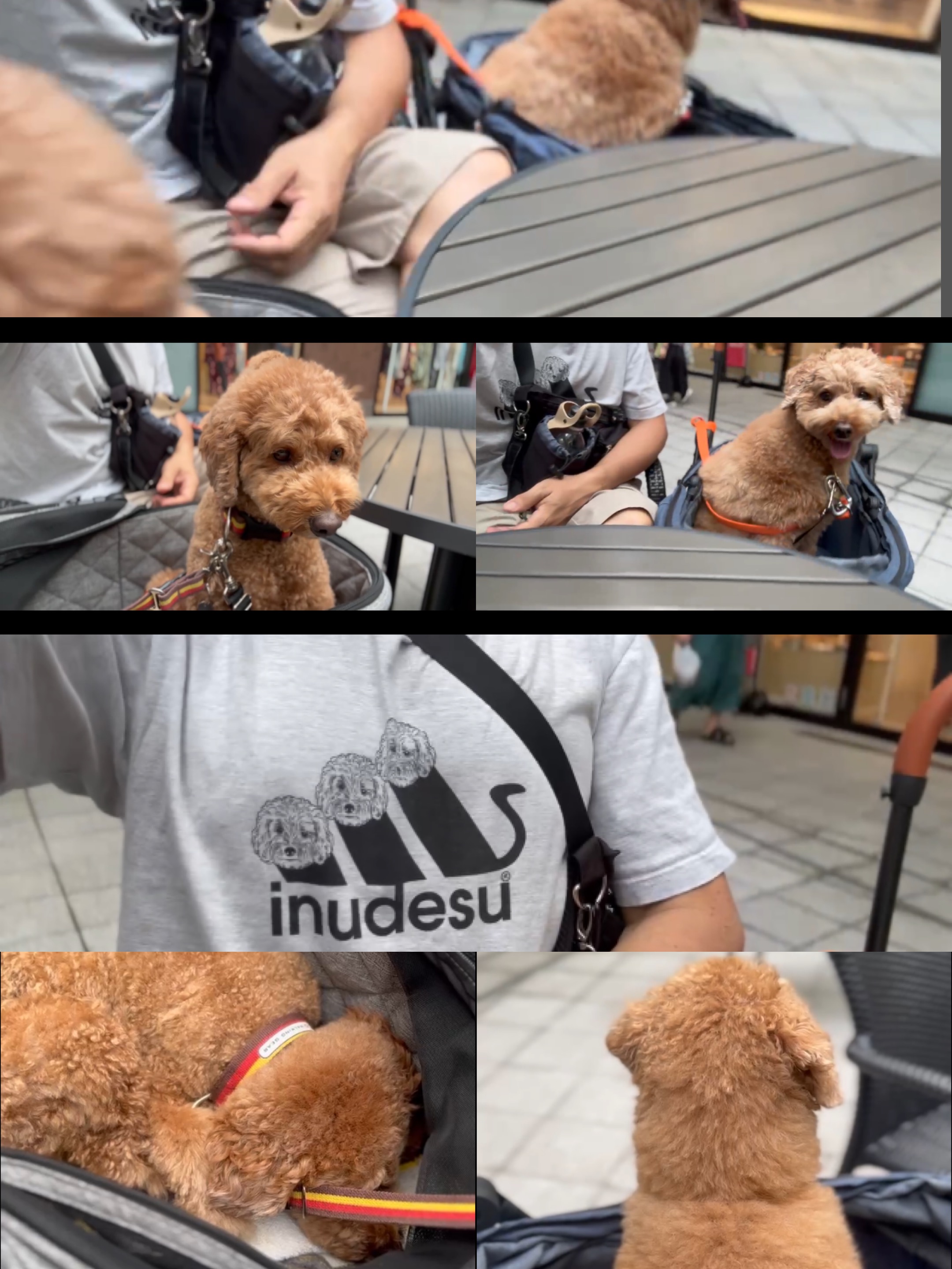 アップロードファイル 821KB