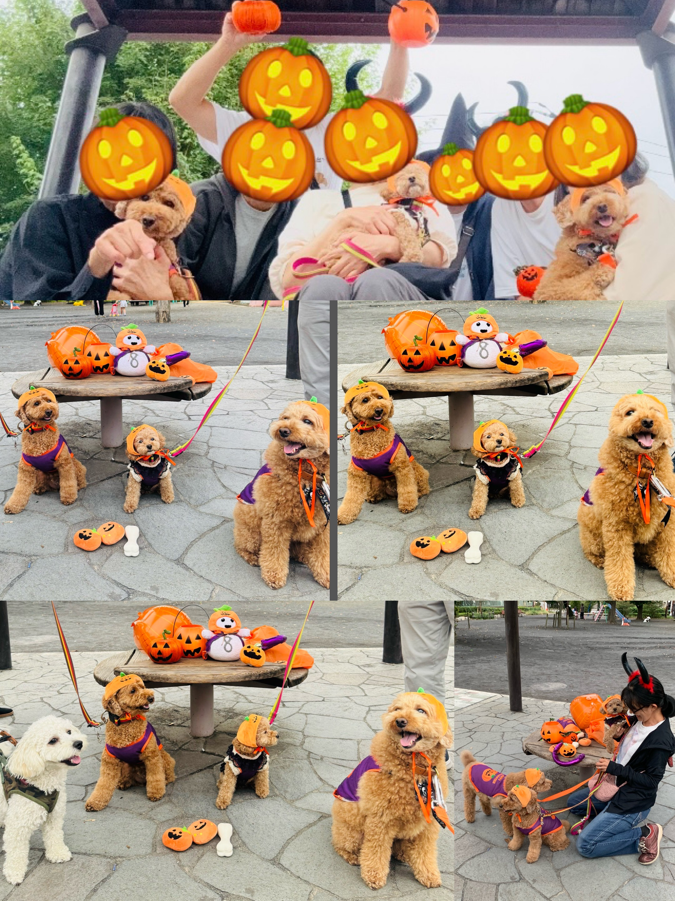 アップロードファイル 1,852KB