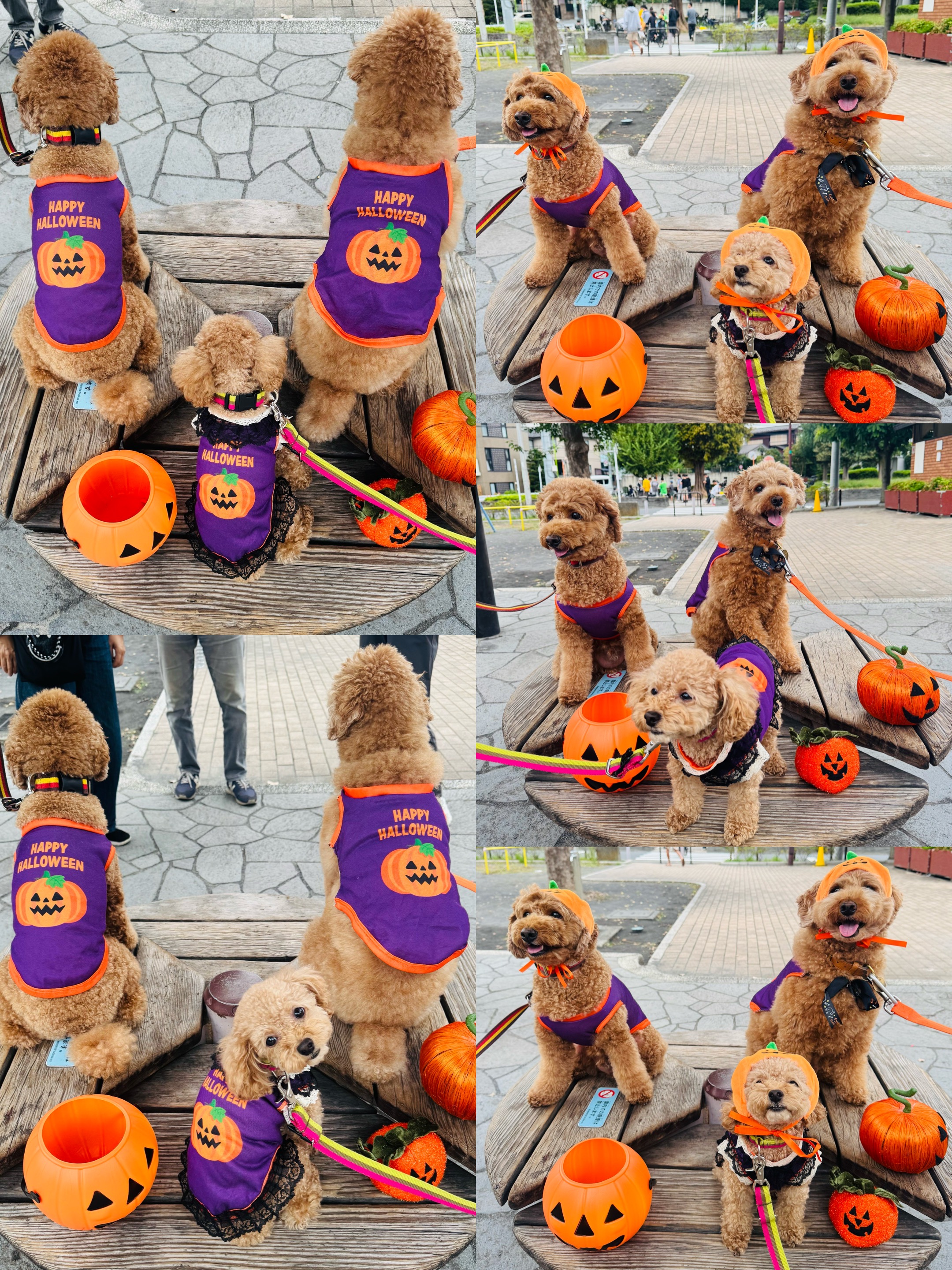 アップロードファイル 2,157KB