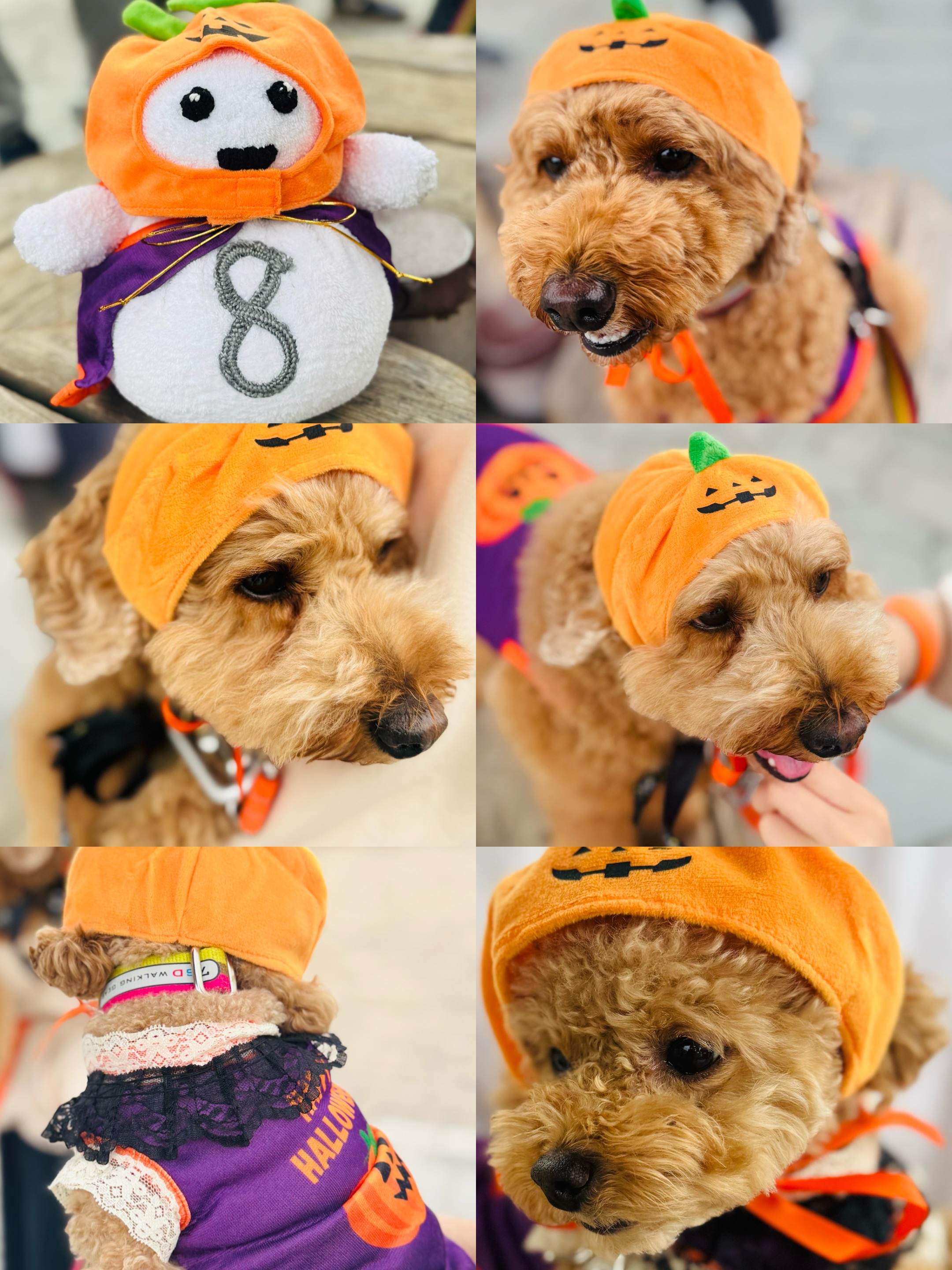 アップロードファイル 1,158KB