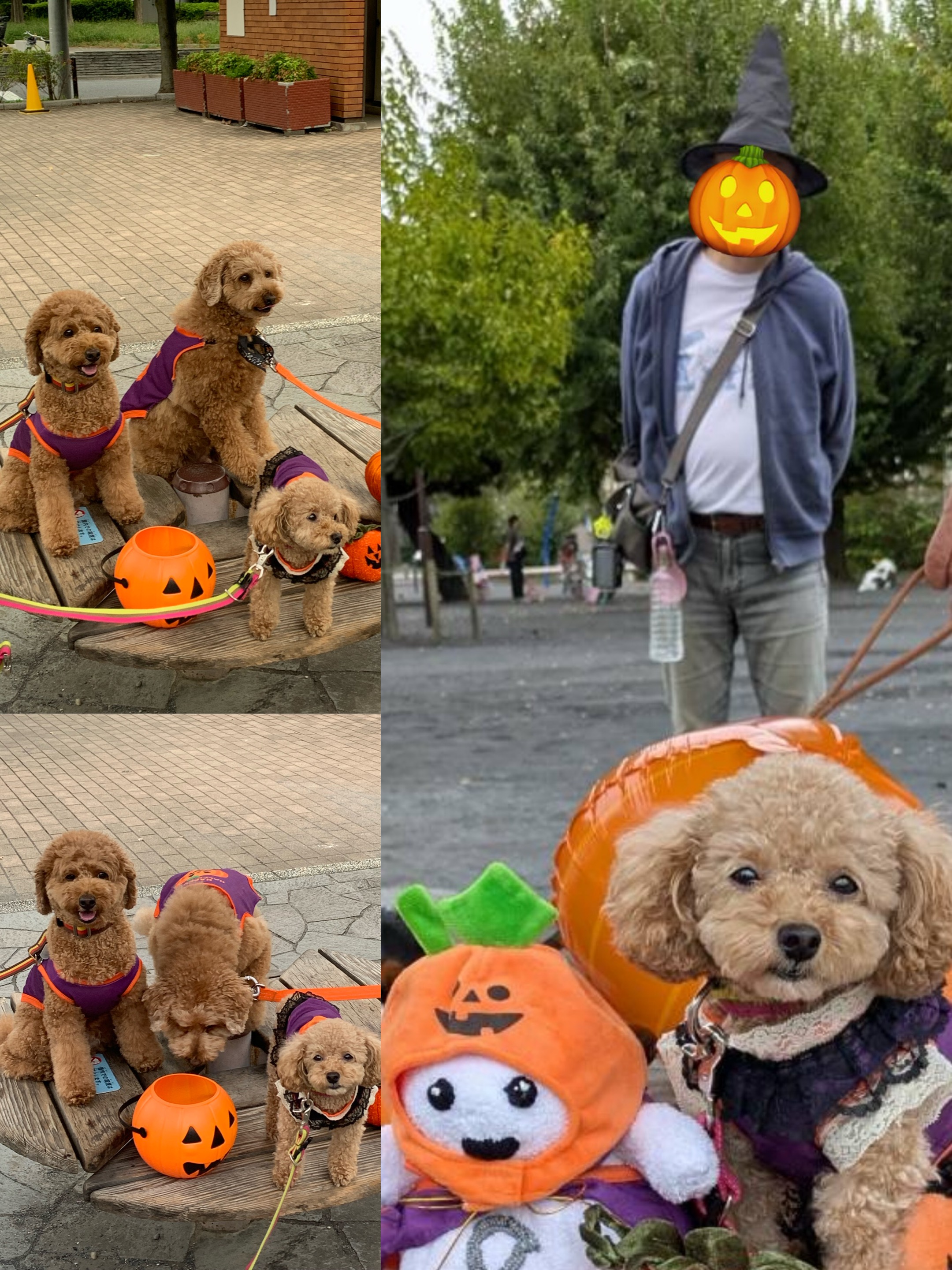 アップロードファイル 1,334KB