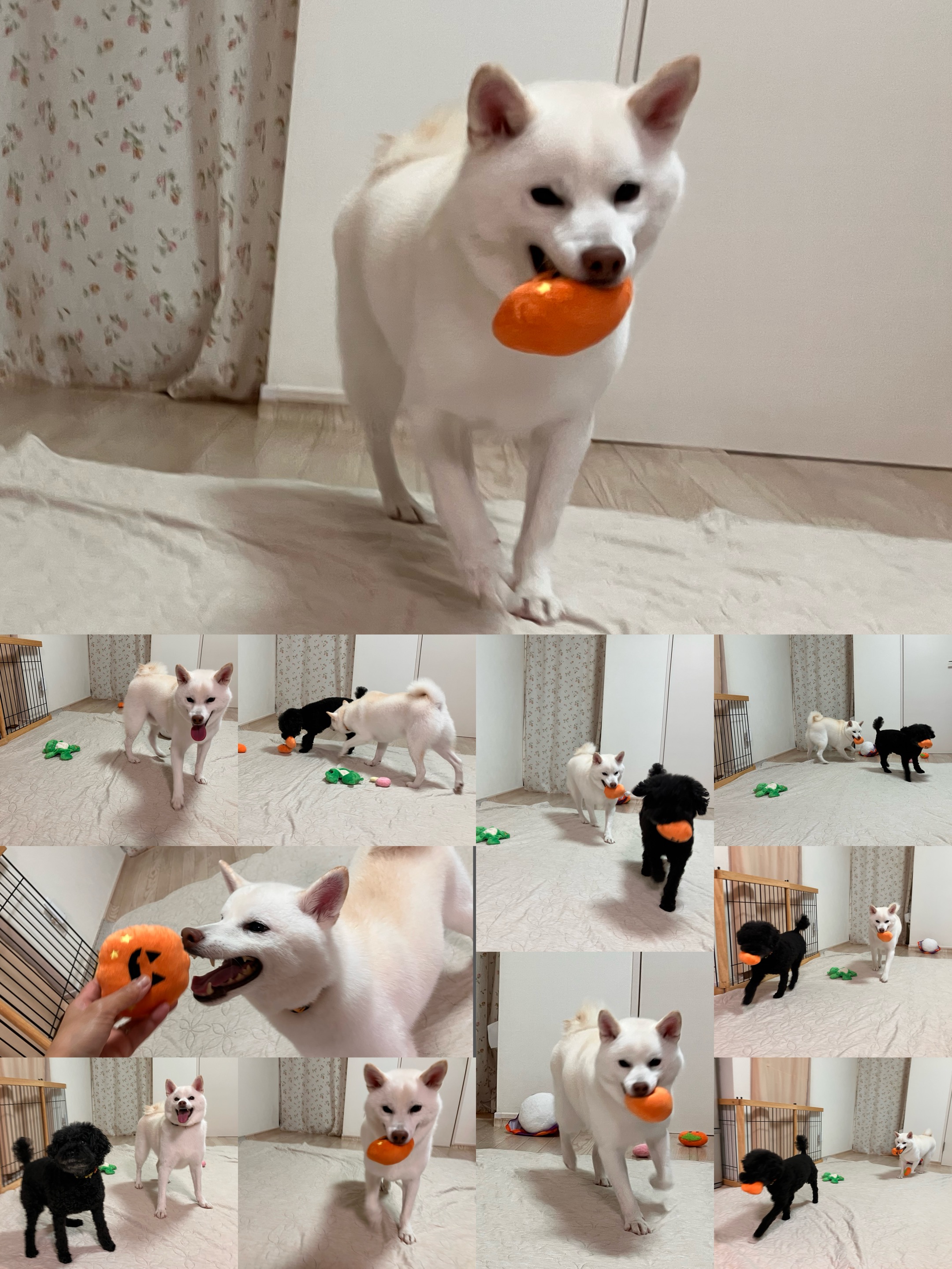 アップロードファイル 1,218KB