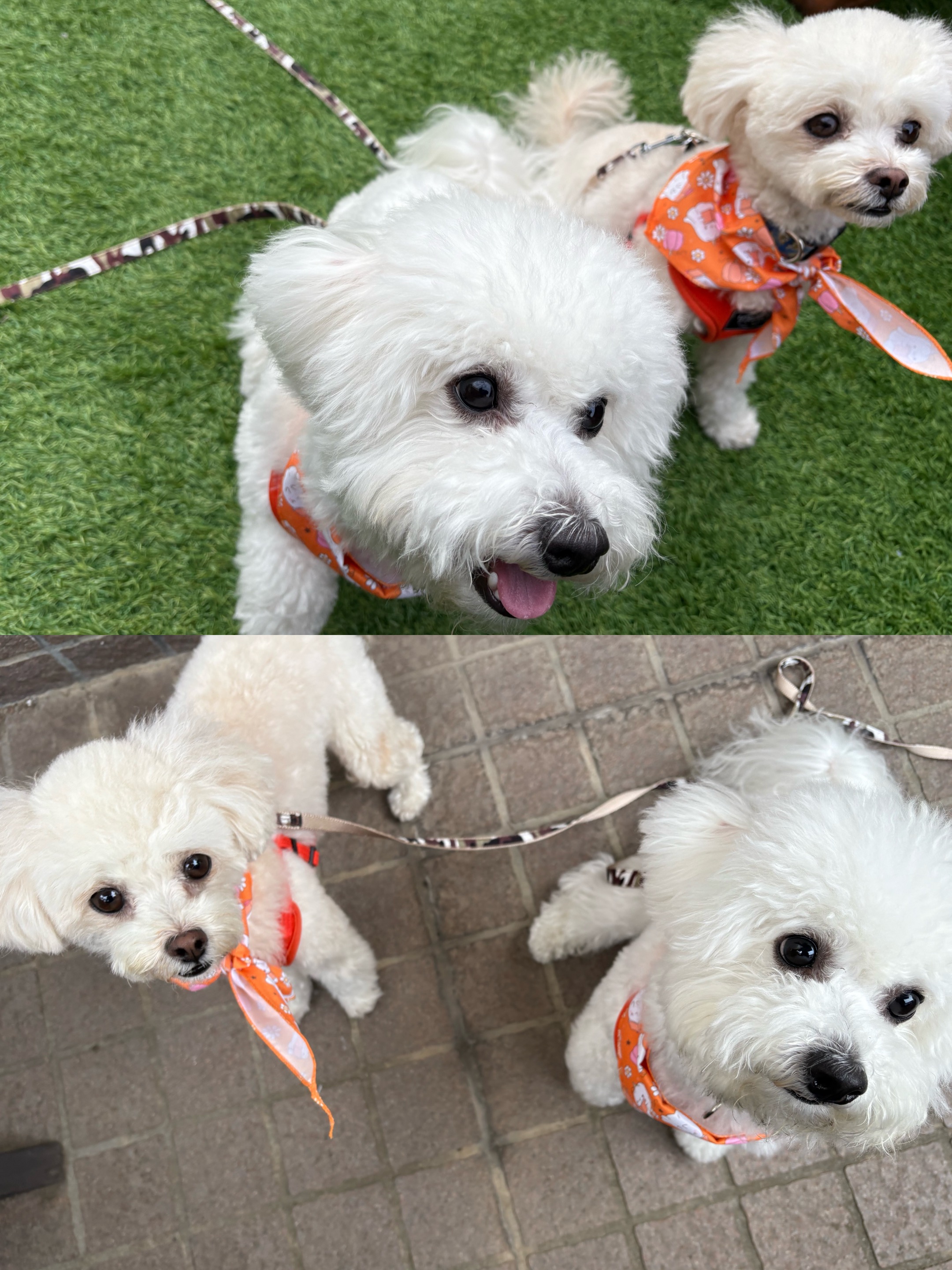 アップロードファイル 1,109KB