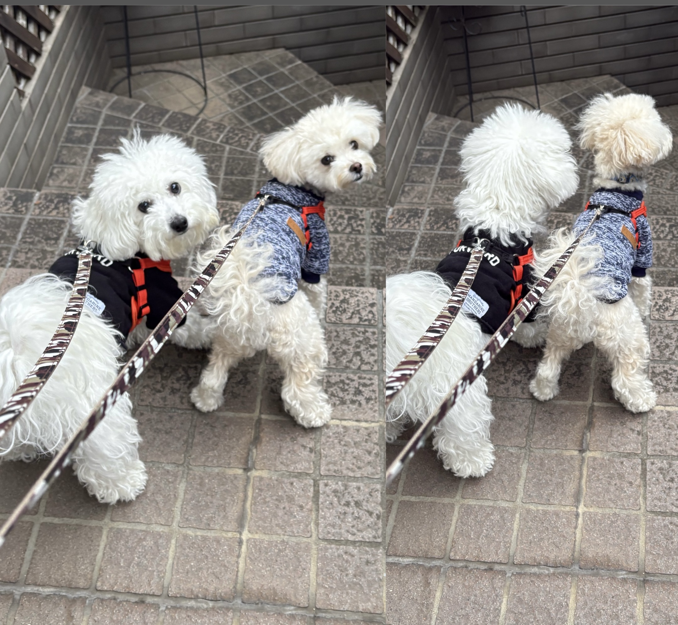 アップロードファイル 1,210KB