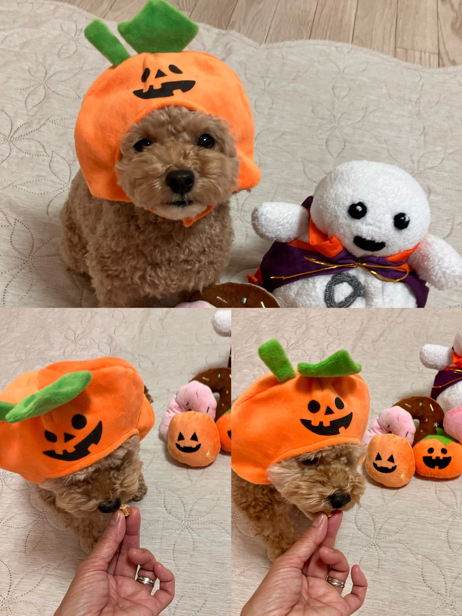 アップロードファイル 693KB