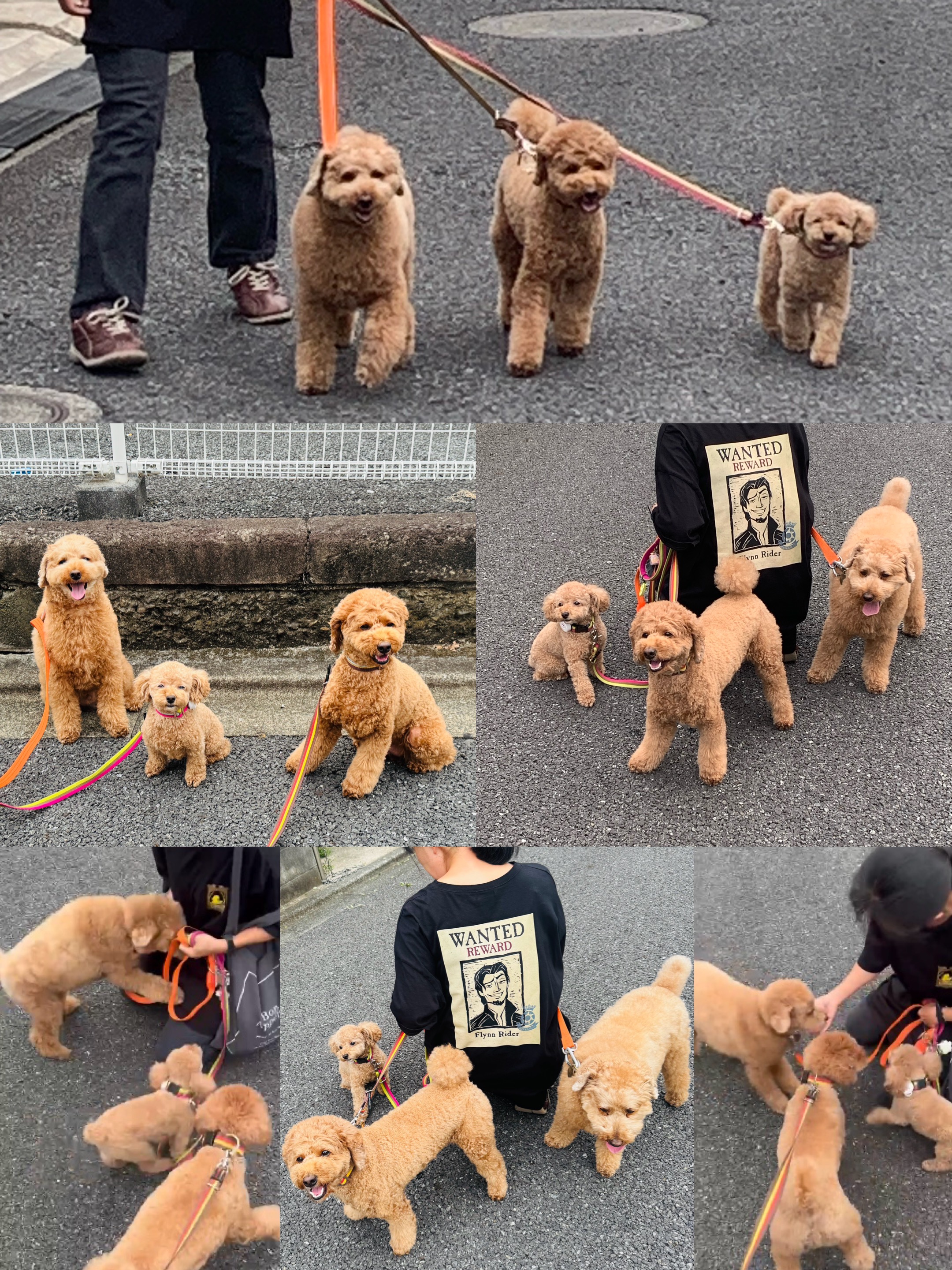 アップロードファイル 2,017KB