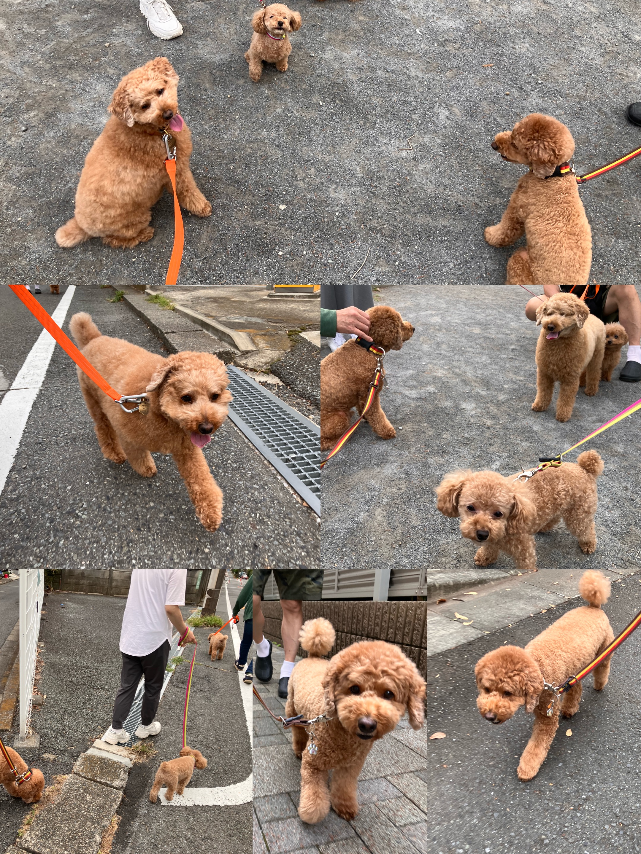 アップロードファイル 2,565KB