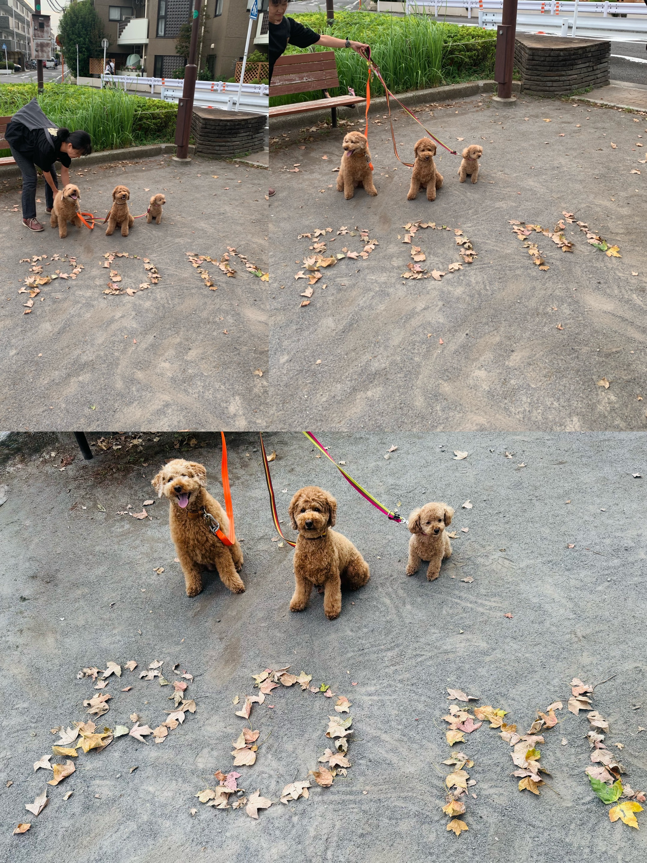 アップロードファイル 2,784KB