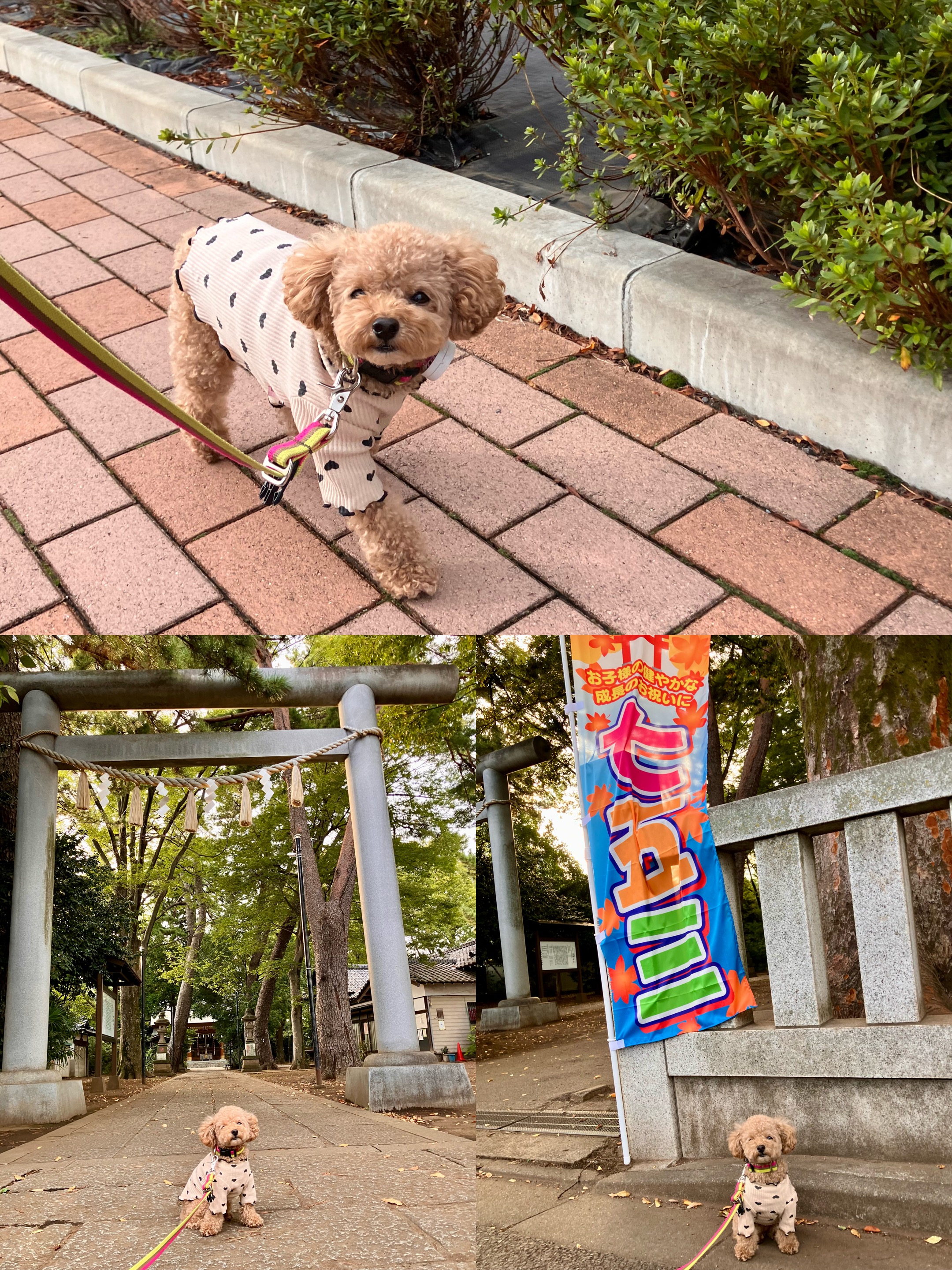 アップロードファイル 2,430KB