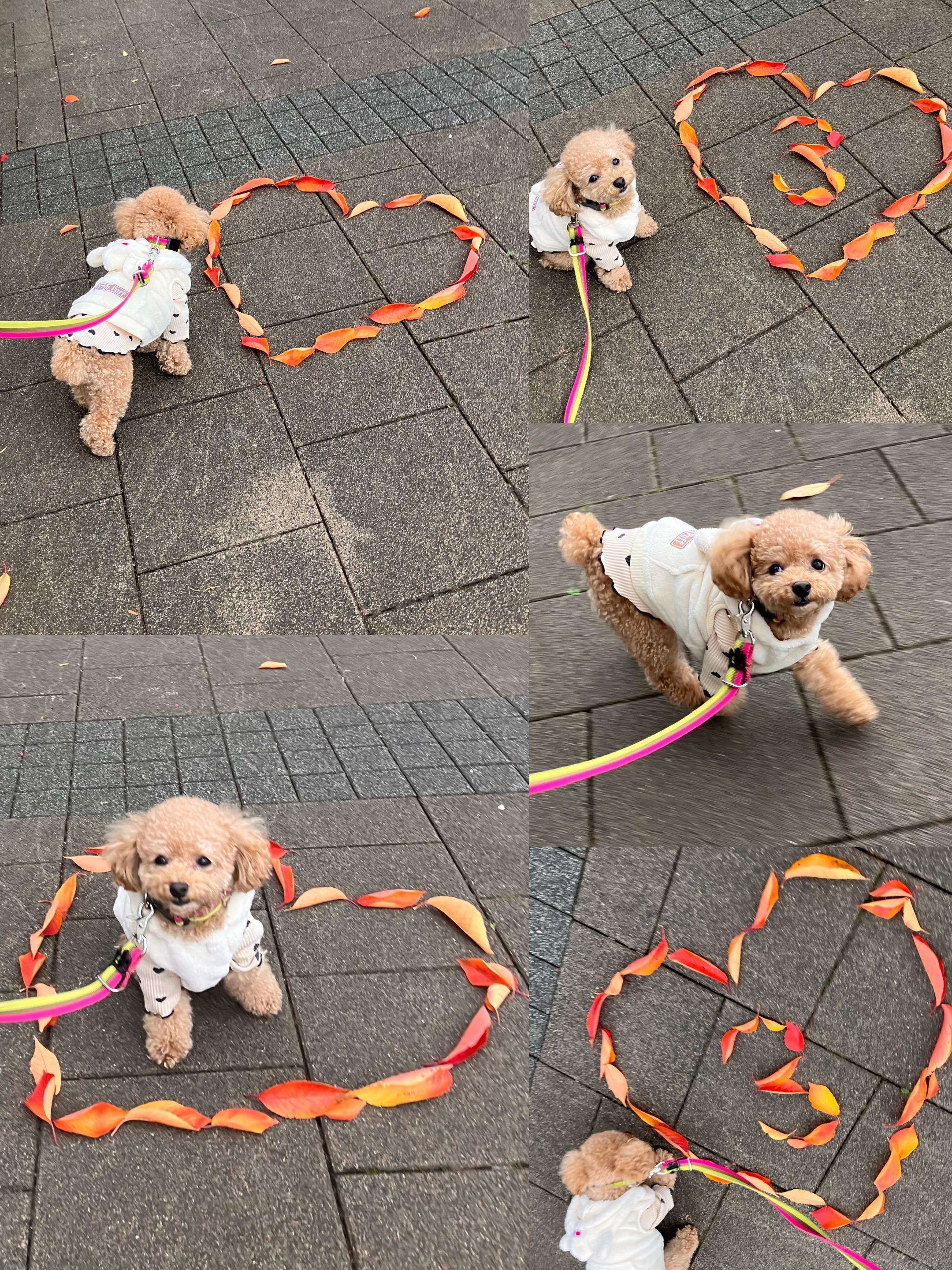 アップロードファイル 2,645KB