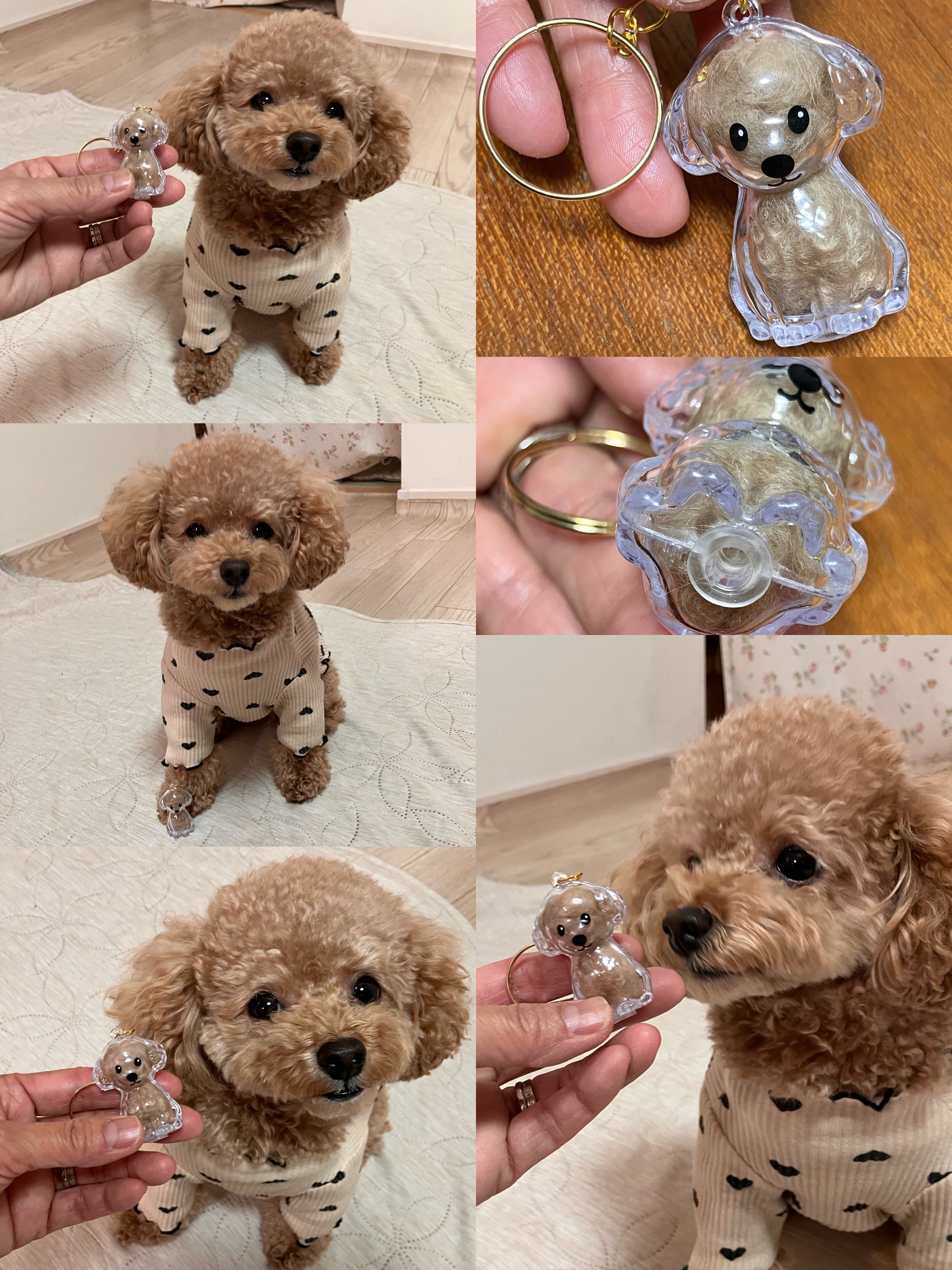 アップロードファイル 1,454KB