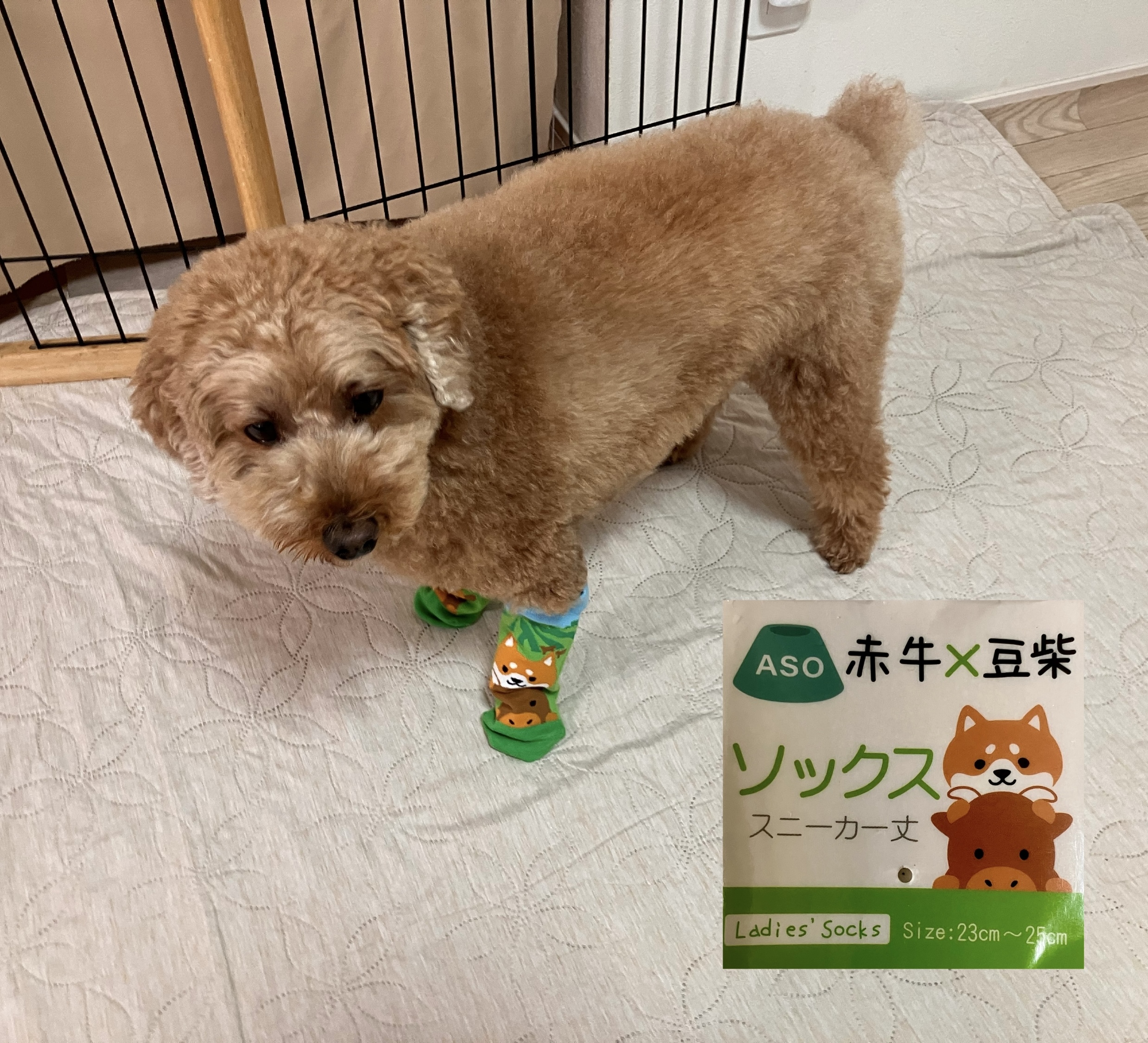 アップロードファイル 2,054KB