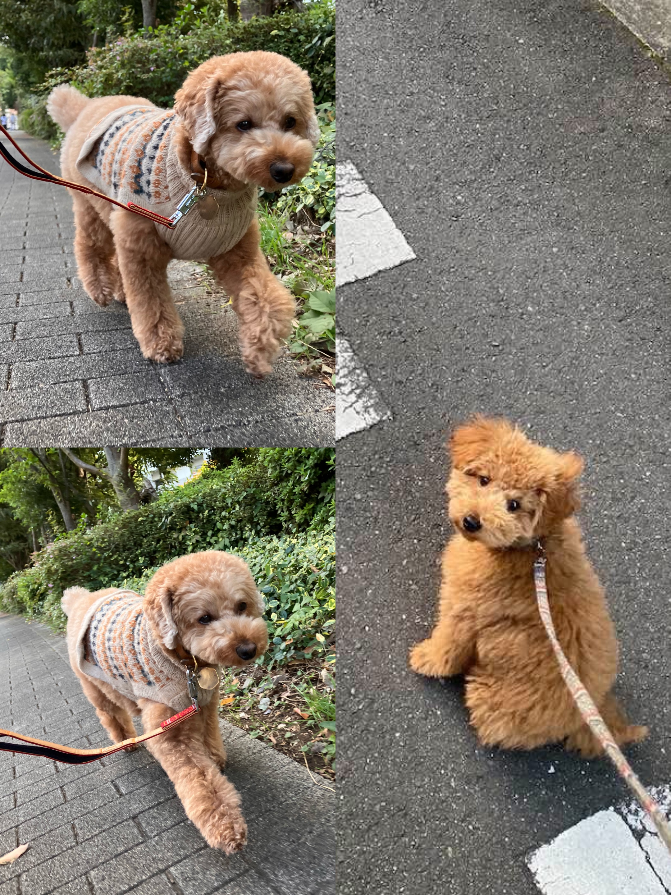 アップロードファイル 1,782KB