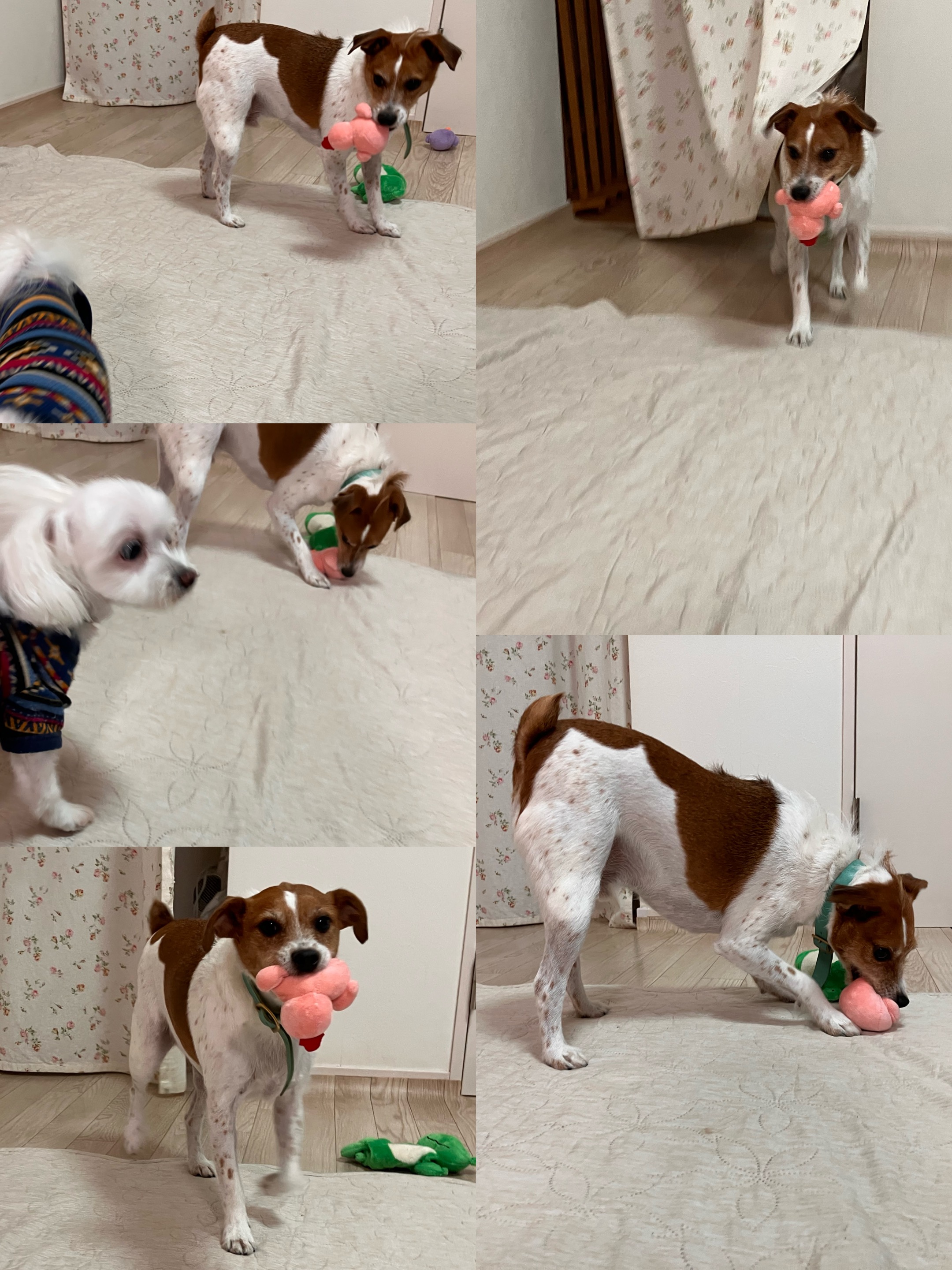 アップロードファイル 1,208KB