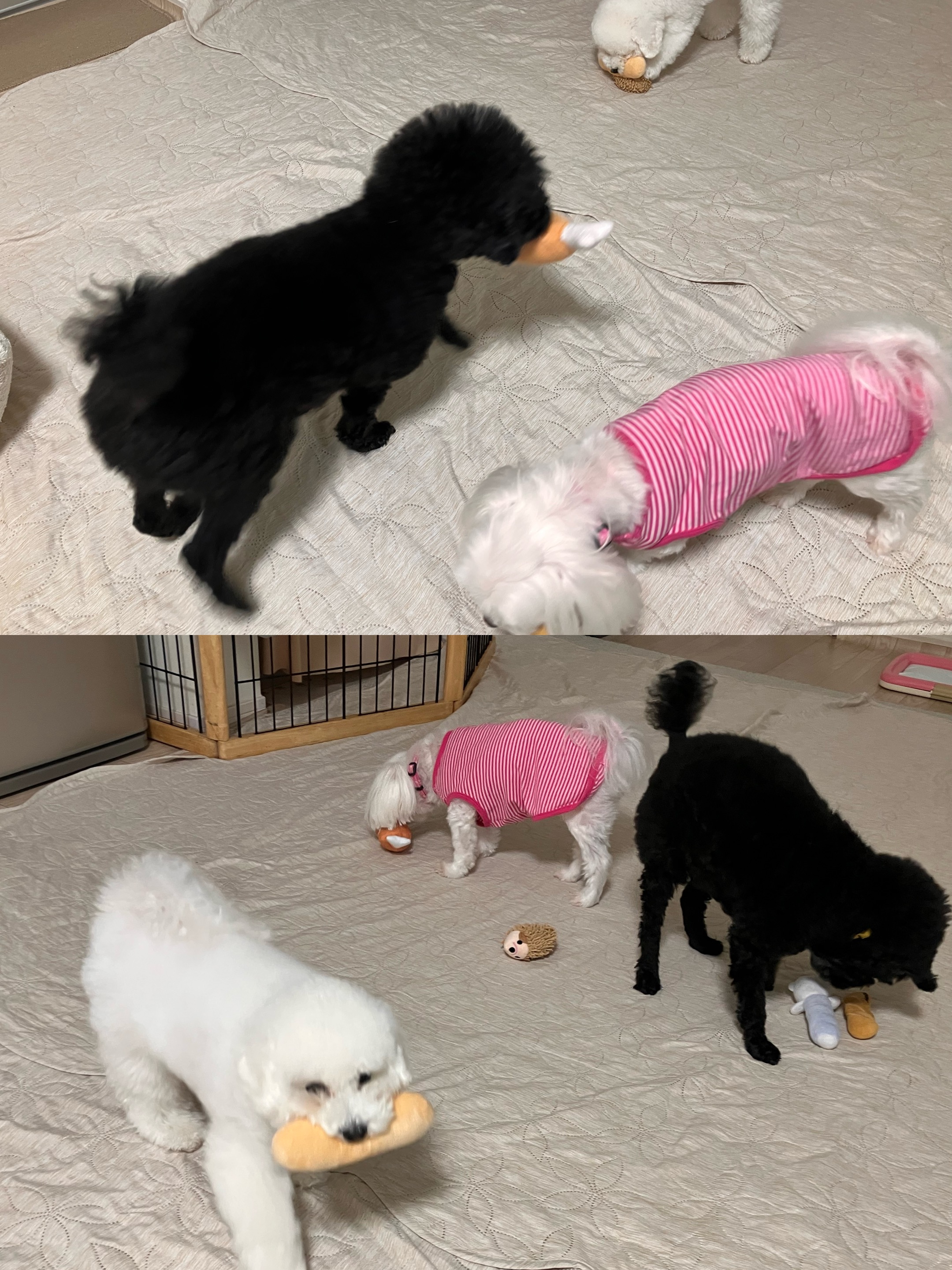 アップロードファイル 1,421KB