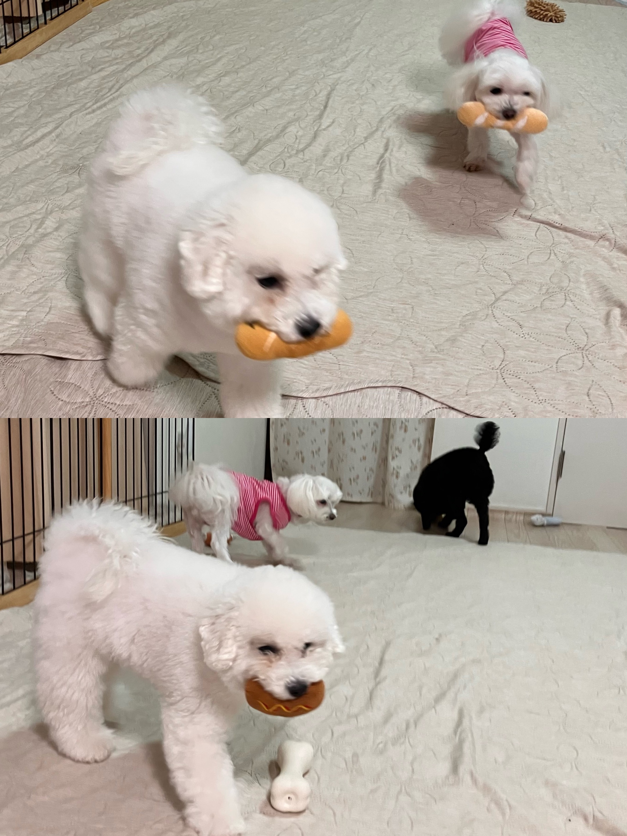 アップロードファイル 1,127KB