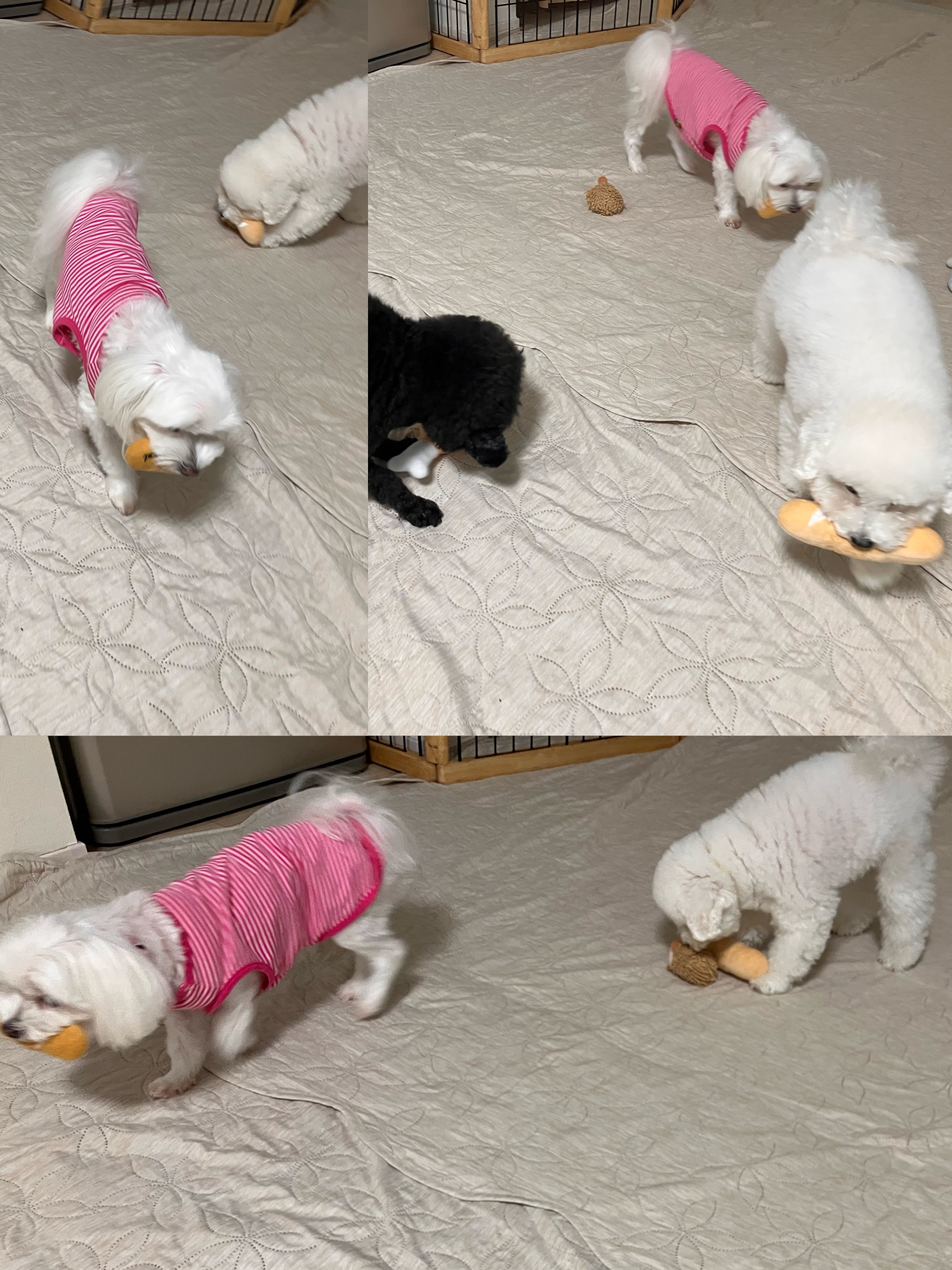 アップロードファイル 1,320KB