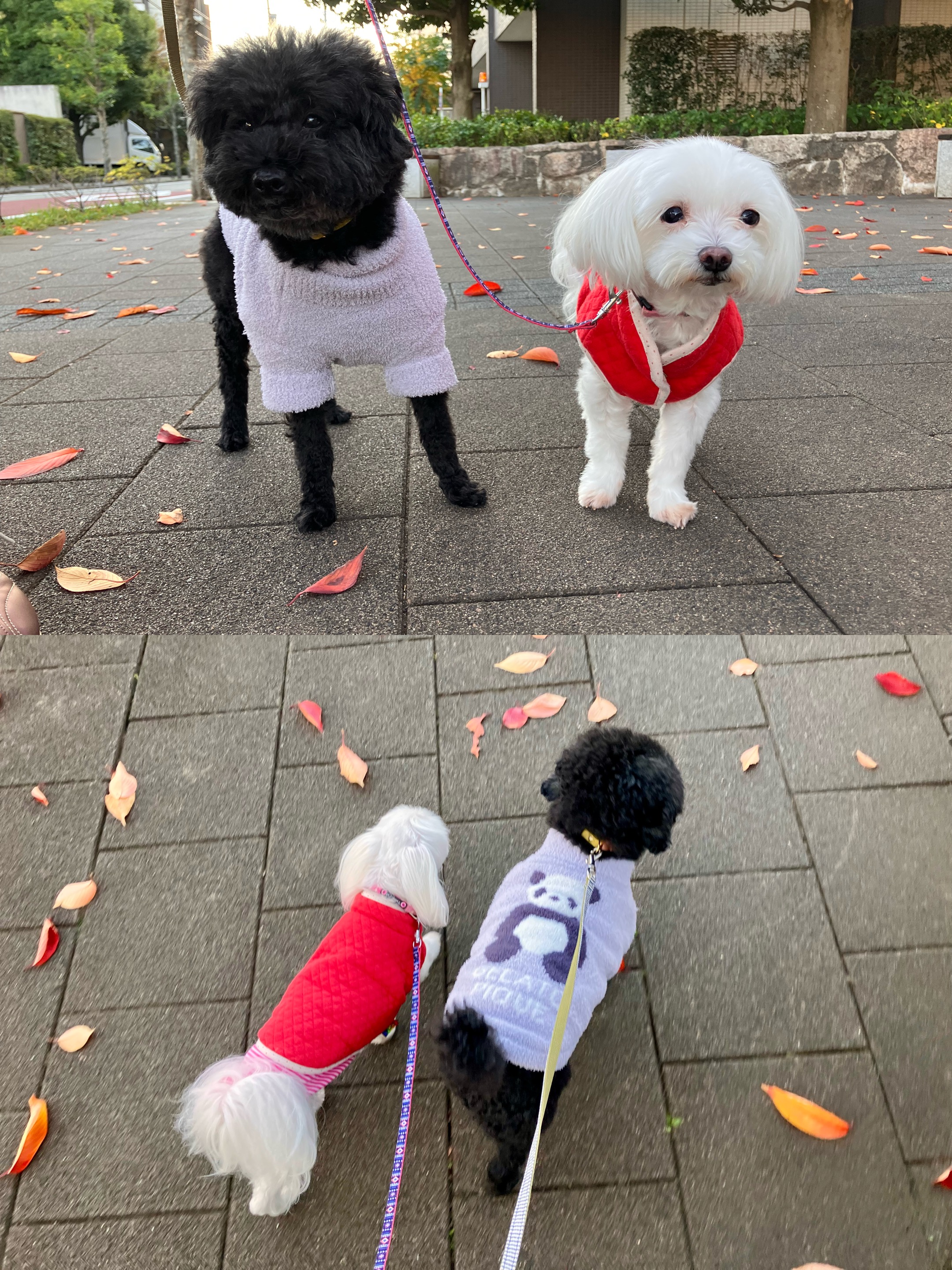 アップロードファイル 2,053KB