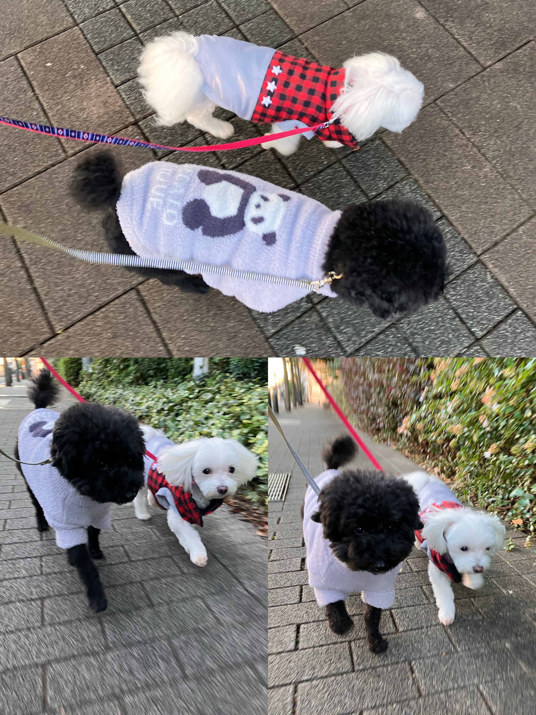 アップロードファイル 1,905KB