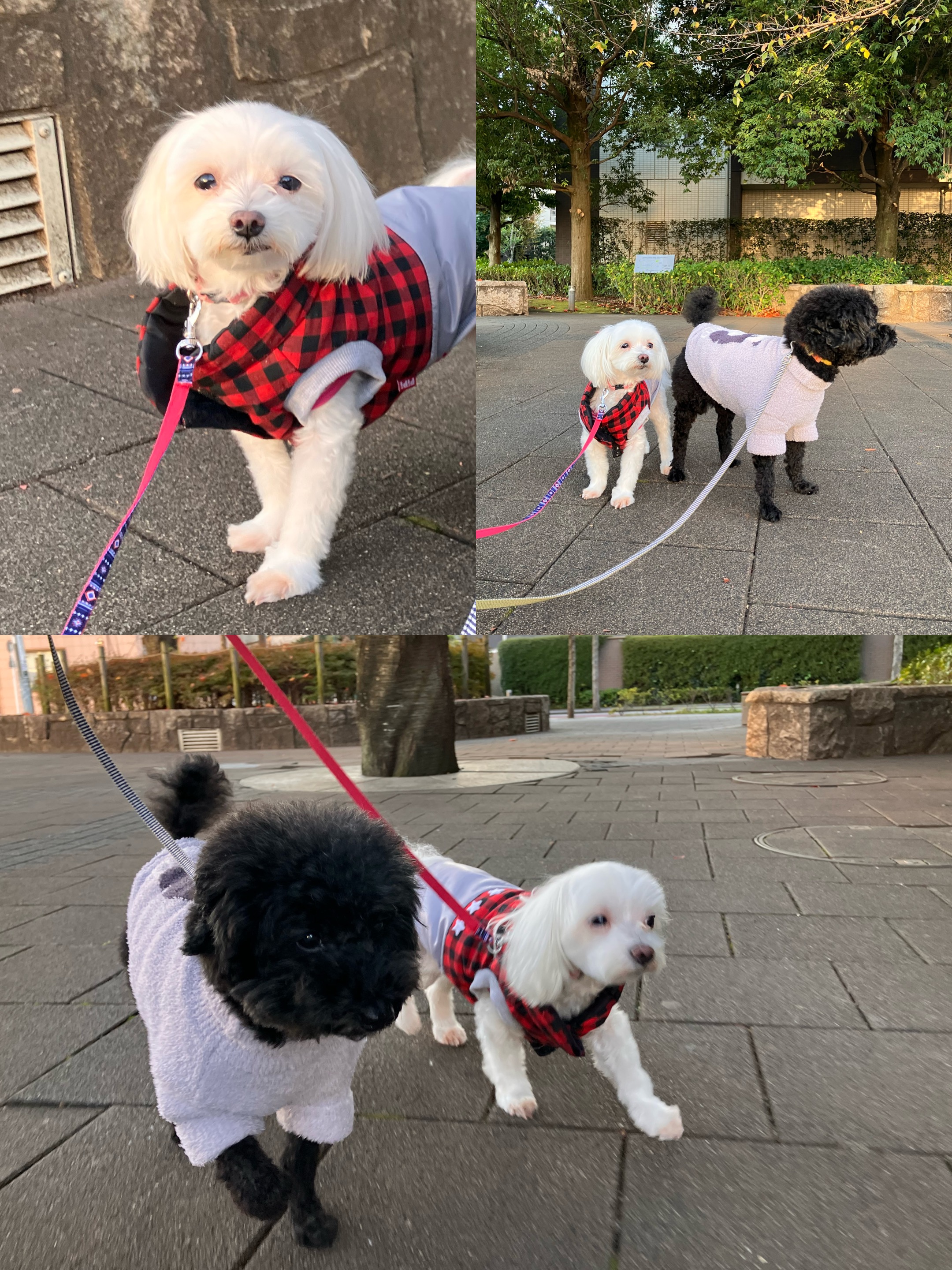 アップロードファイル 1,791KB