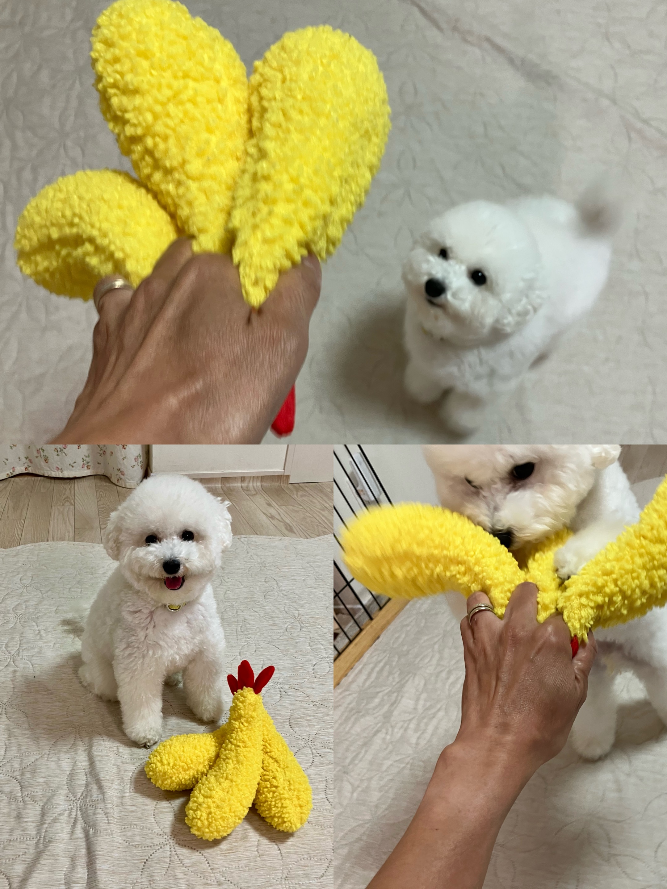 アップロードファイル 1,131KB