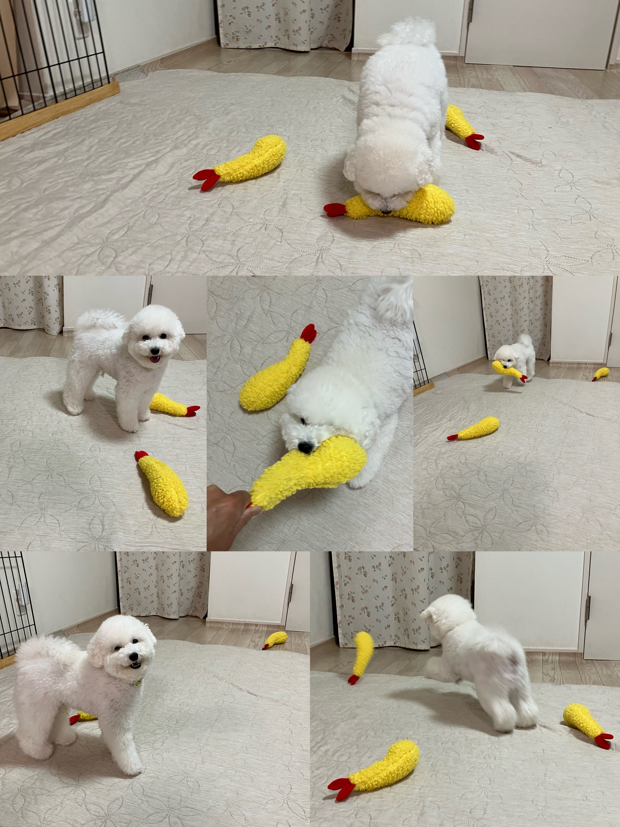 アップロードファイル 1,505KB