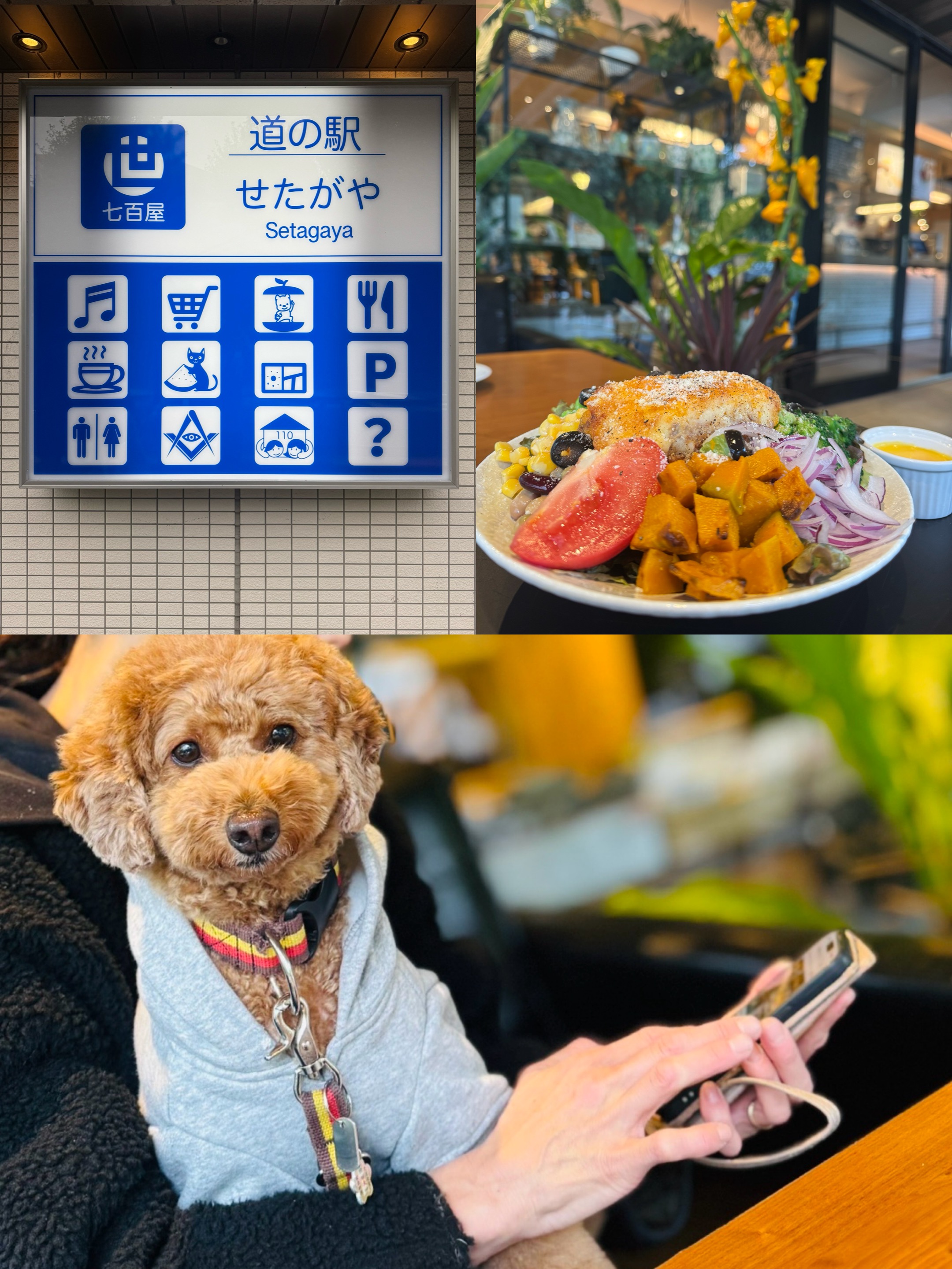 アップロードファイル 1,142KB