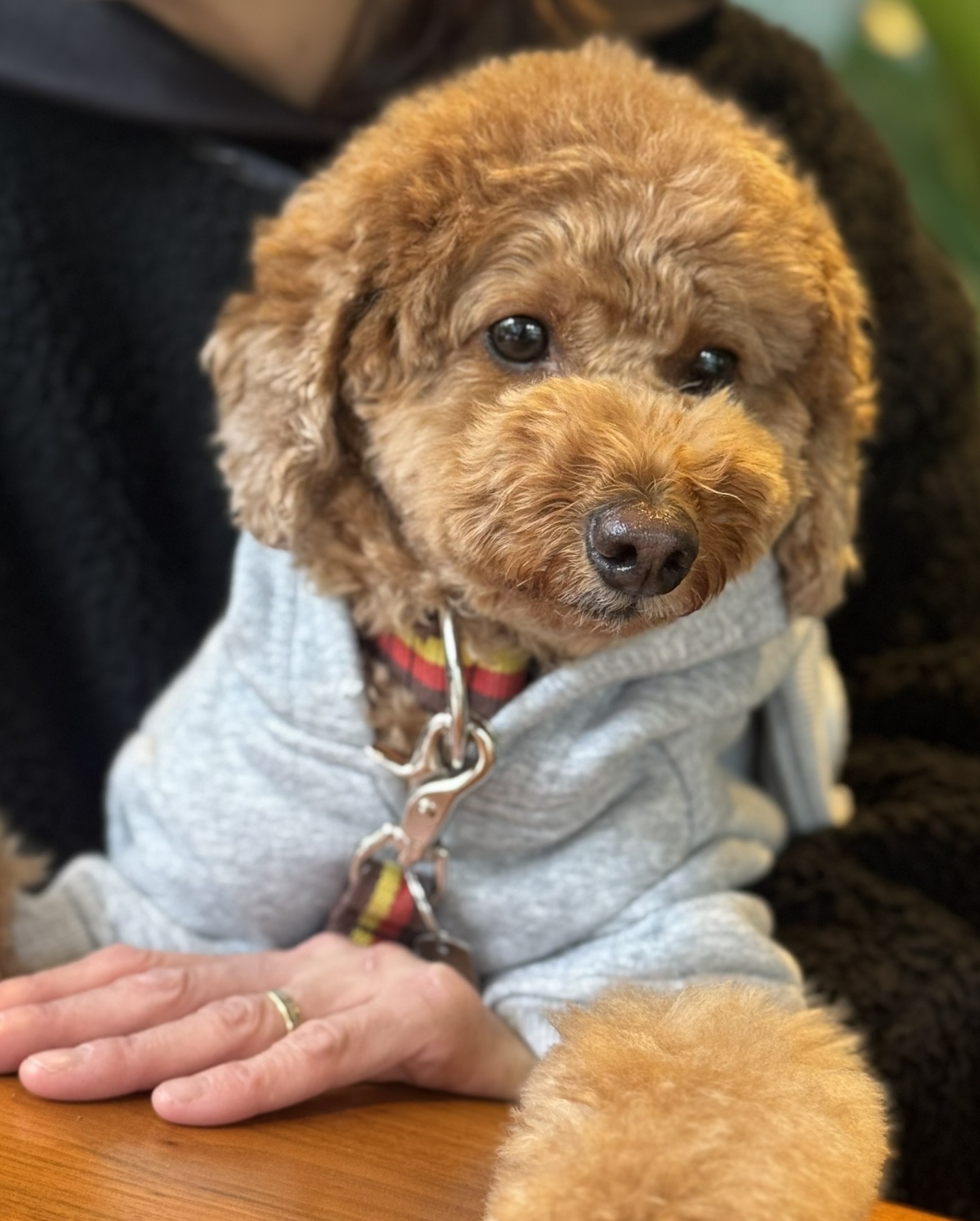 アップロードファイル 470KB