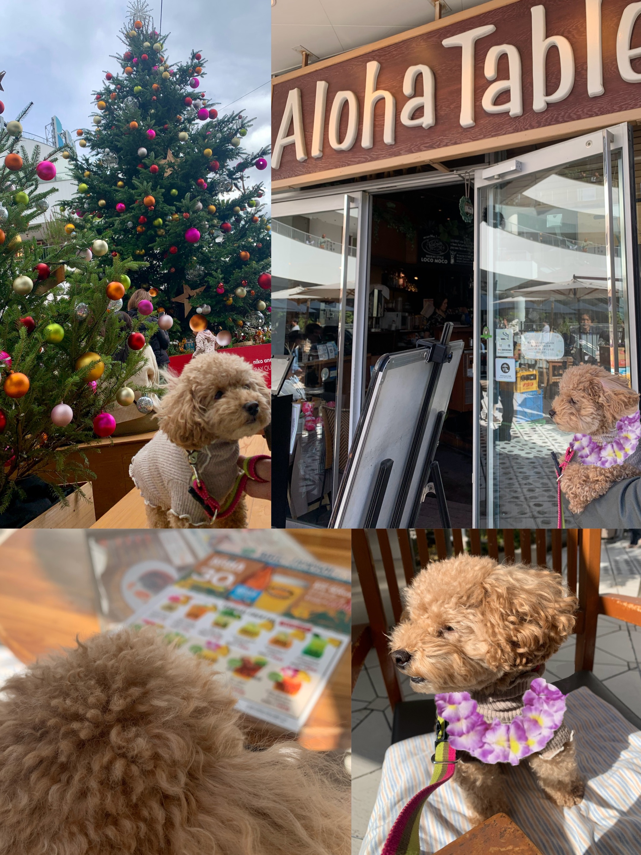 アップロードファイル 1,450KB