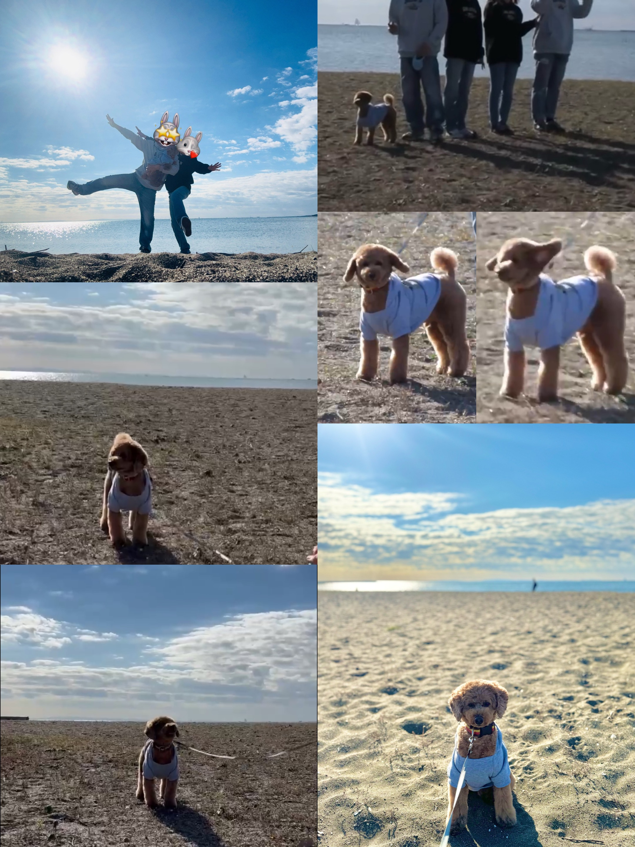 アップロードファイル 1,215KB