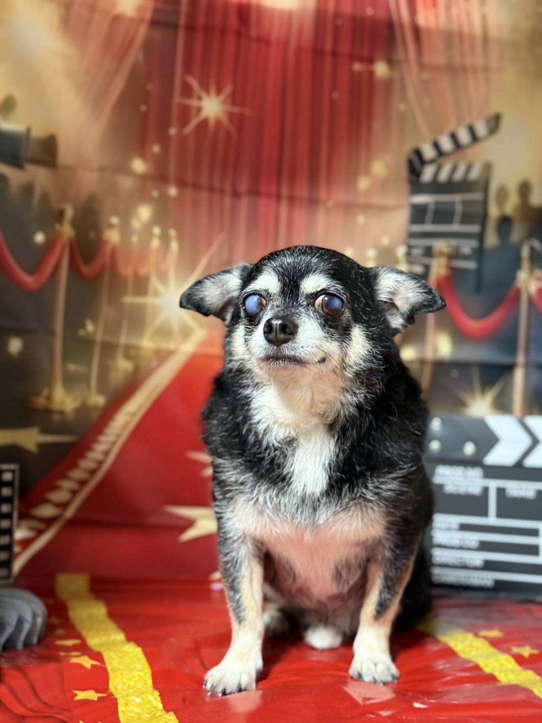 アップロードファイル 218KB