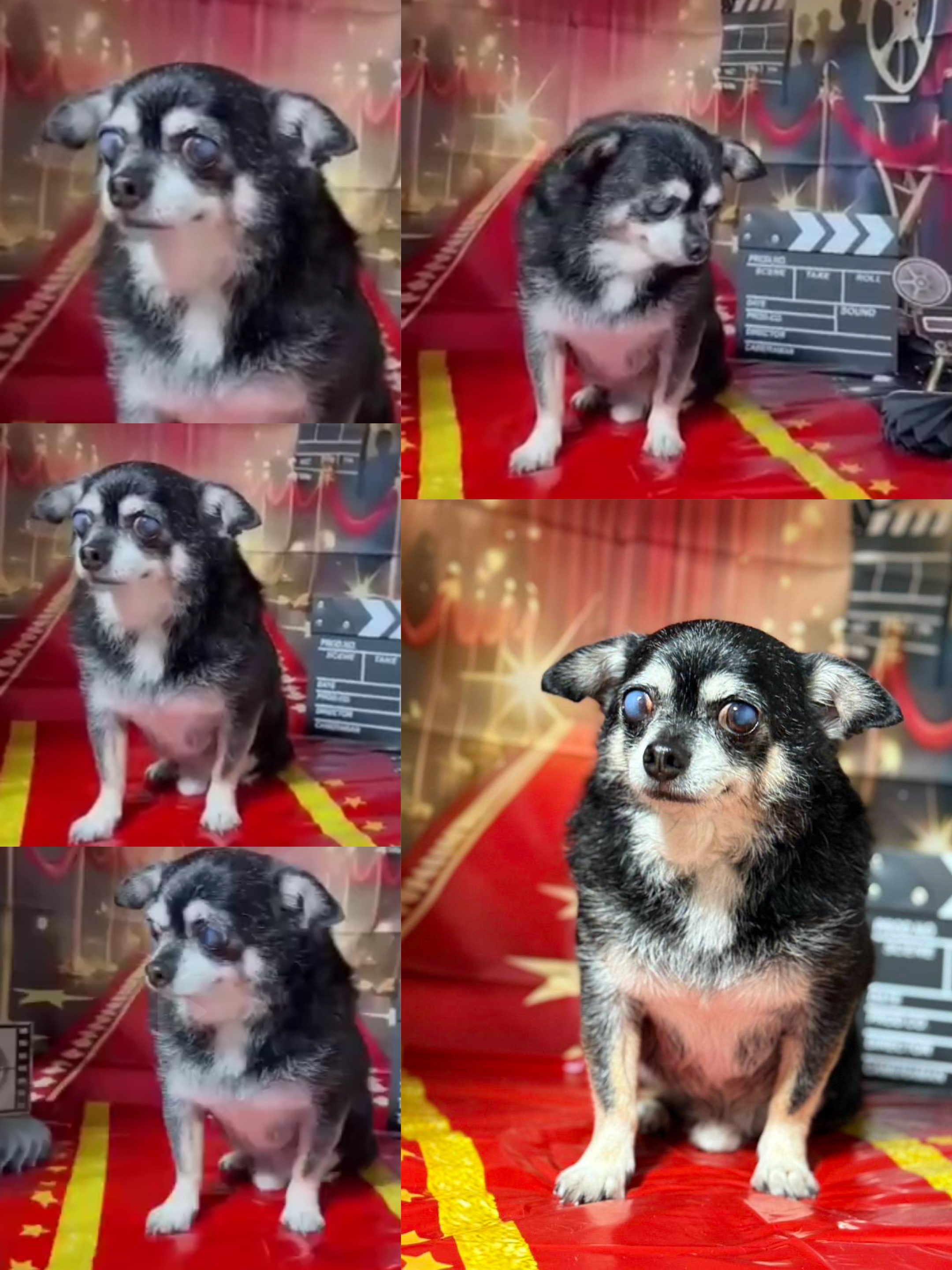 アップロードファイル 844KB