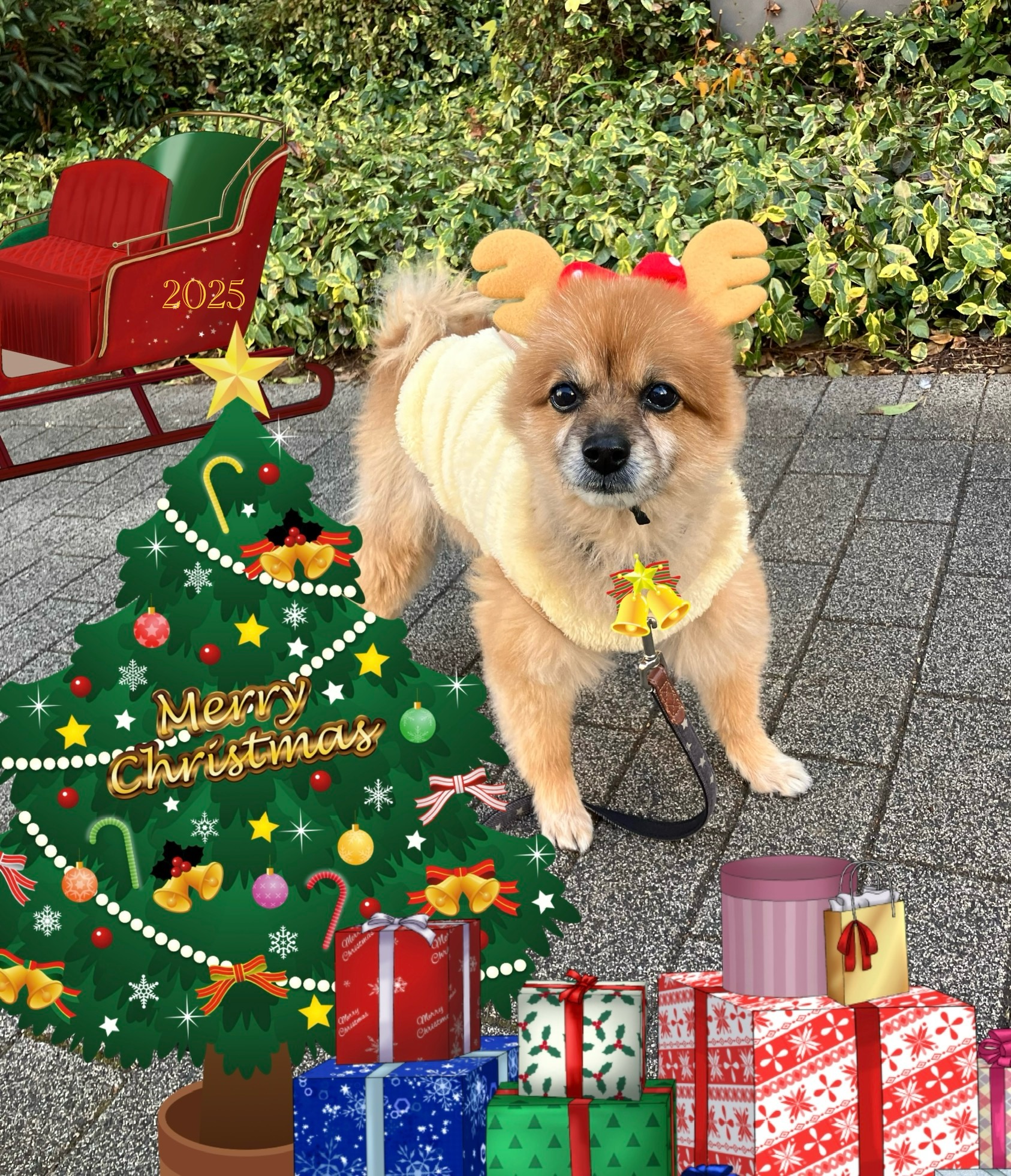 アップロードファイル 1,218KB