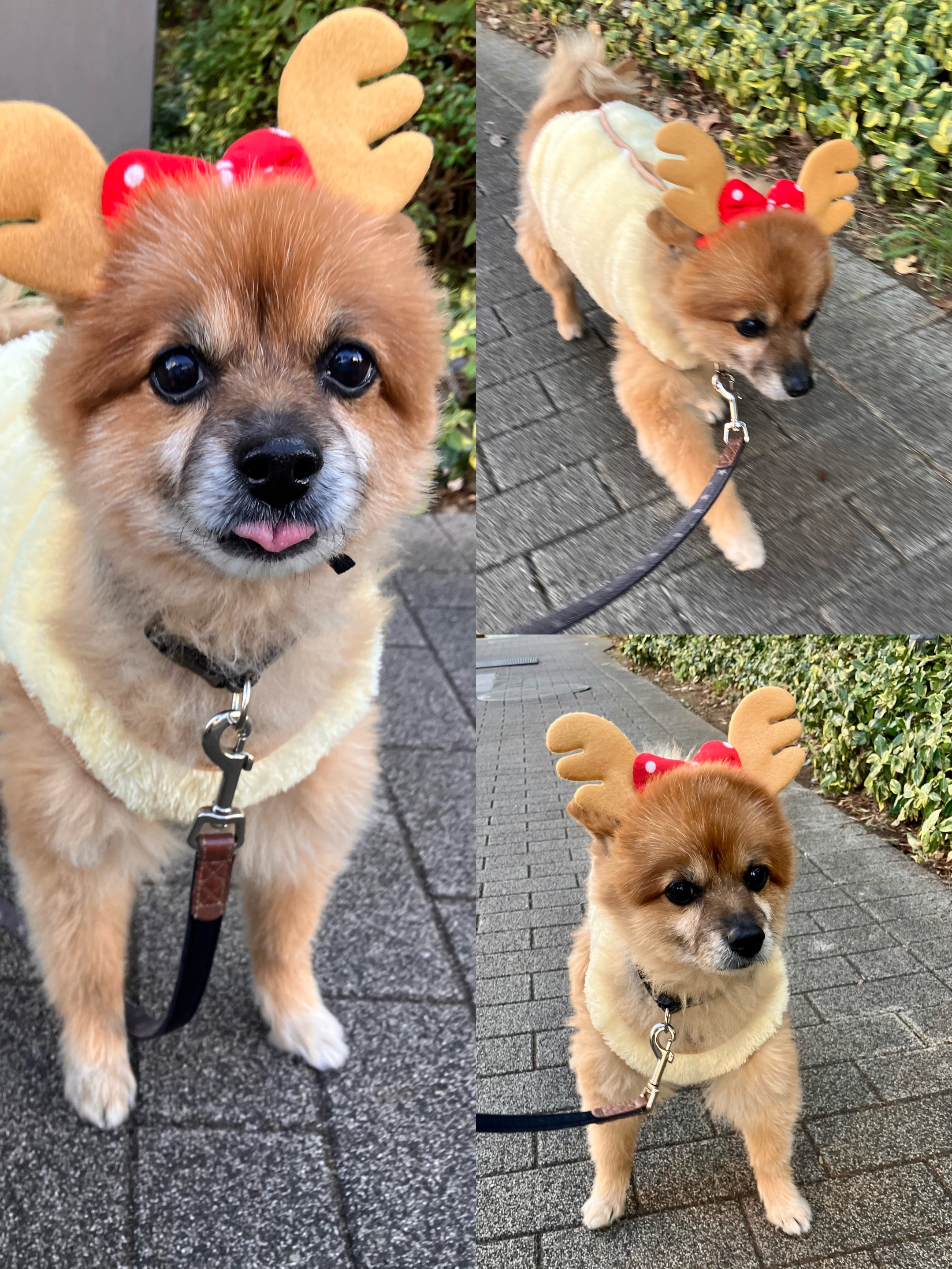 アップロードファイル 1,694KB