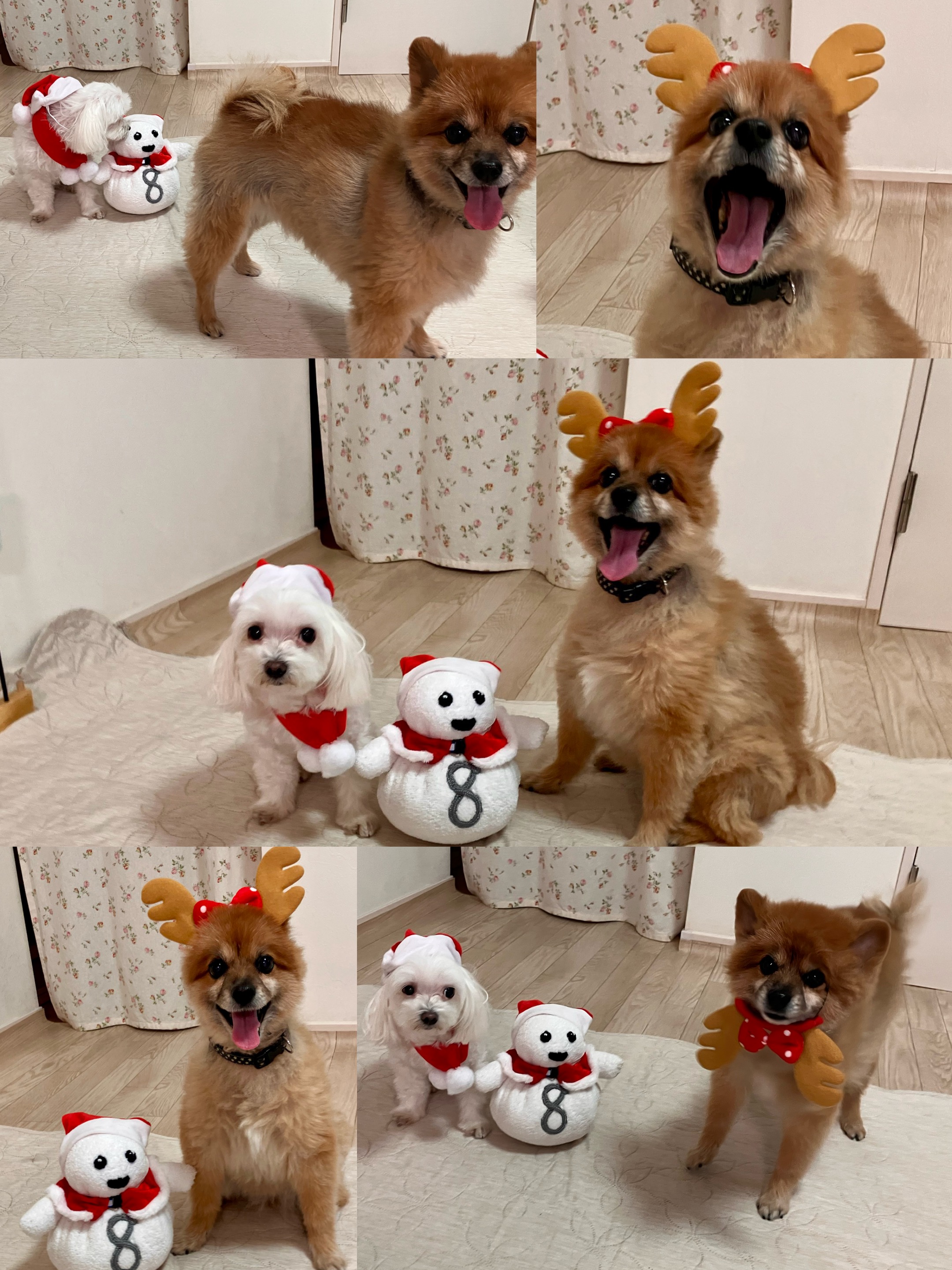 アップロードファイル 1,259KB