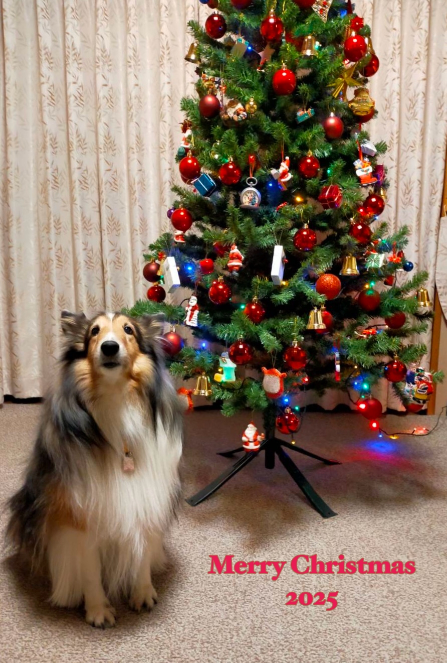 アップロードファイル 777KB