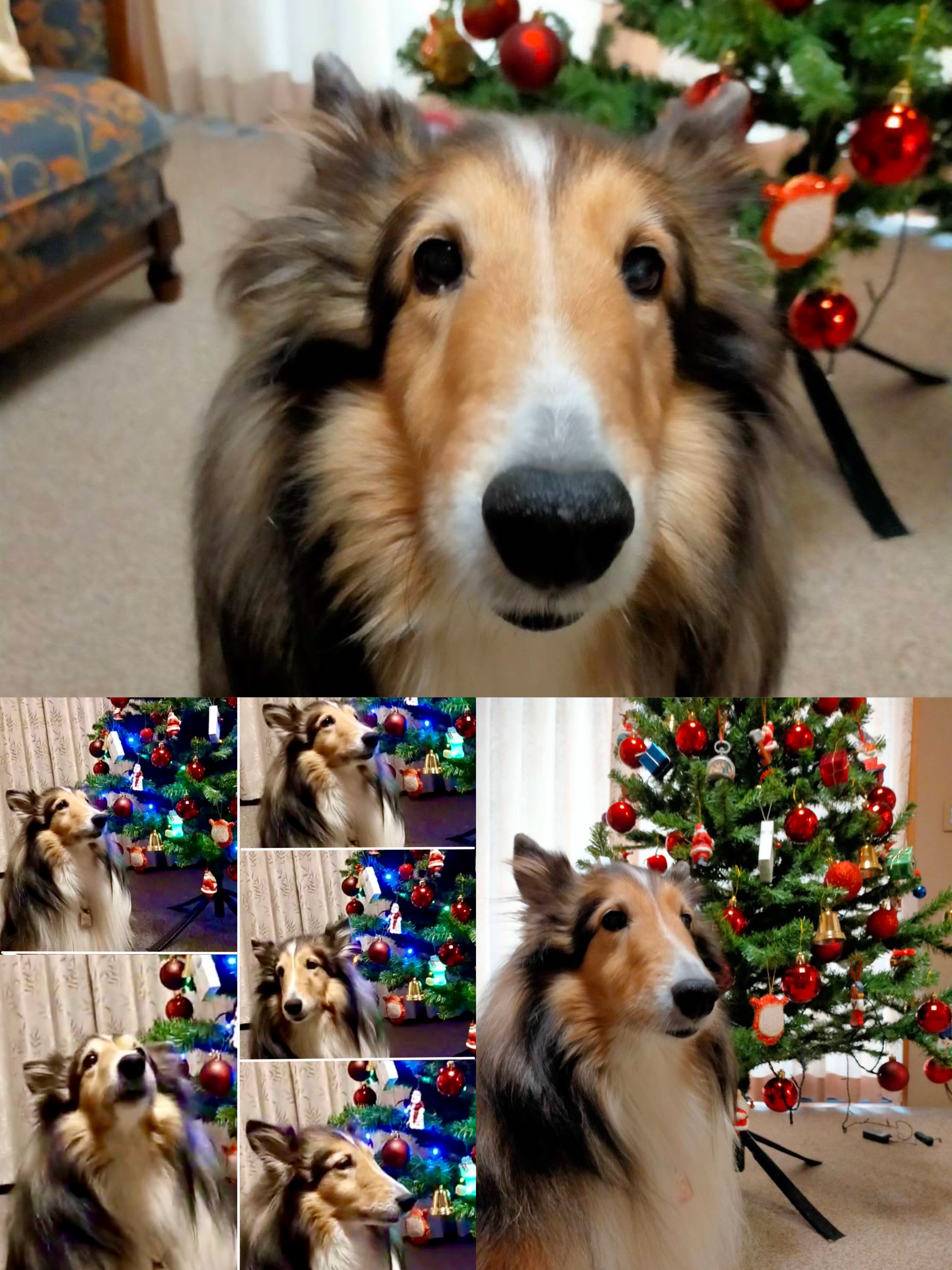 アップロードファイル 1,003KB