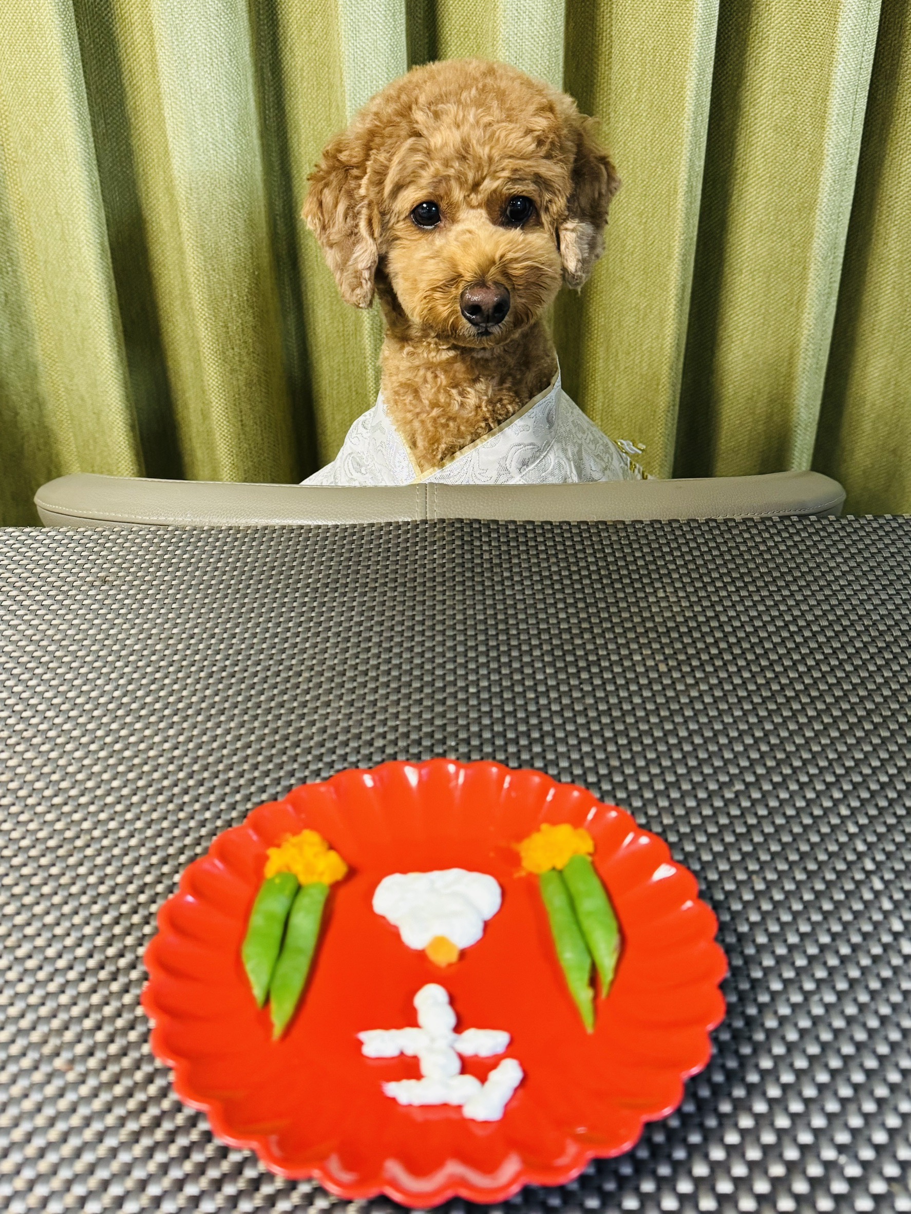 アップロードファイル 1,203KB