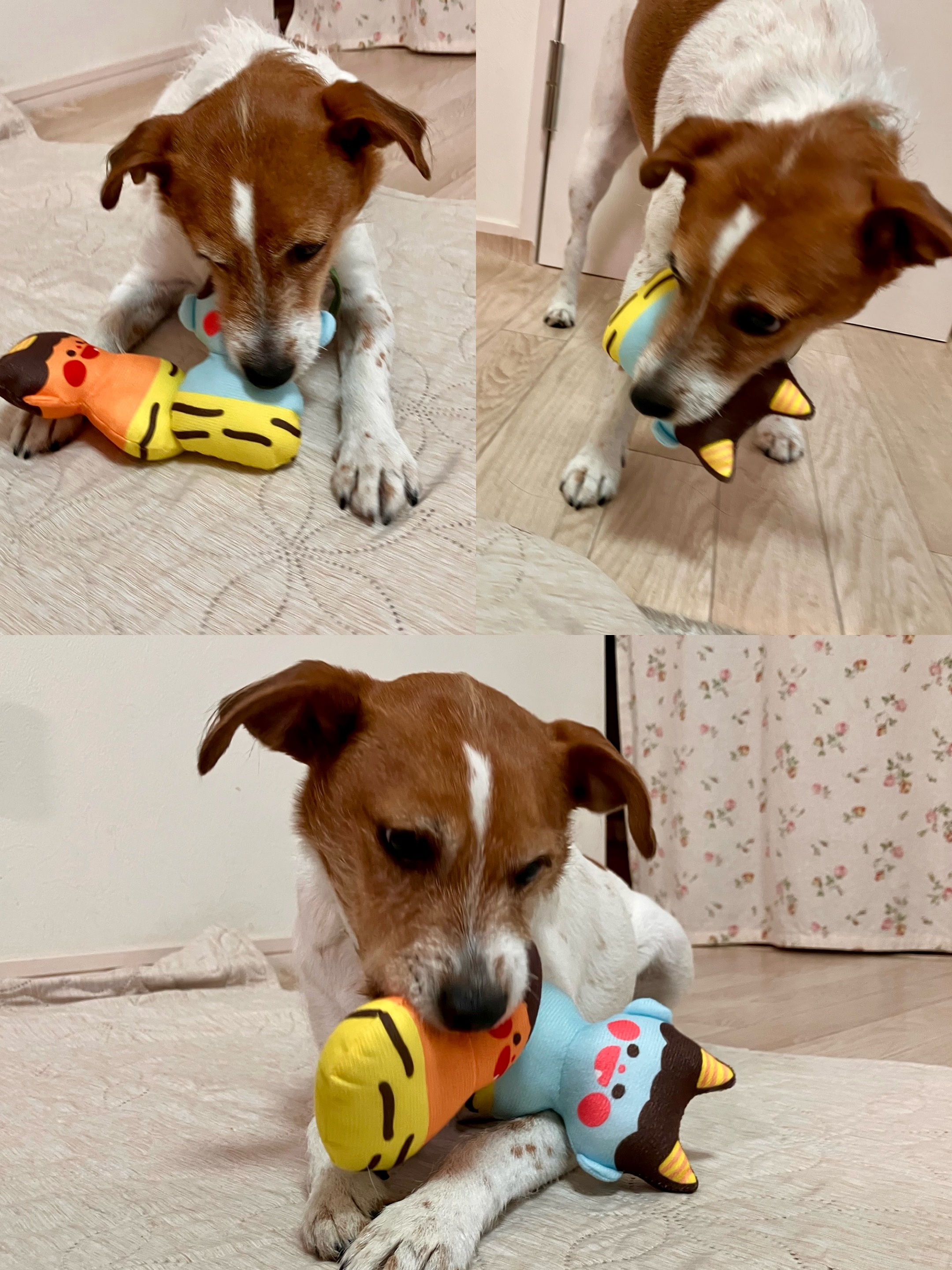 アップロードファイル 1,191KB