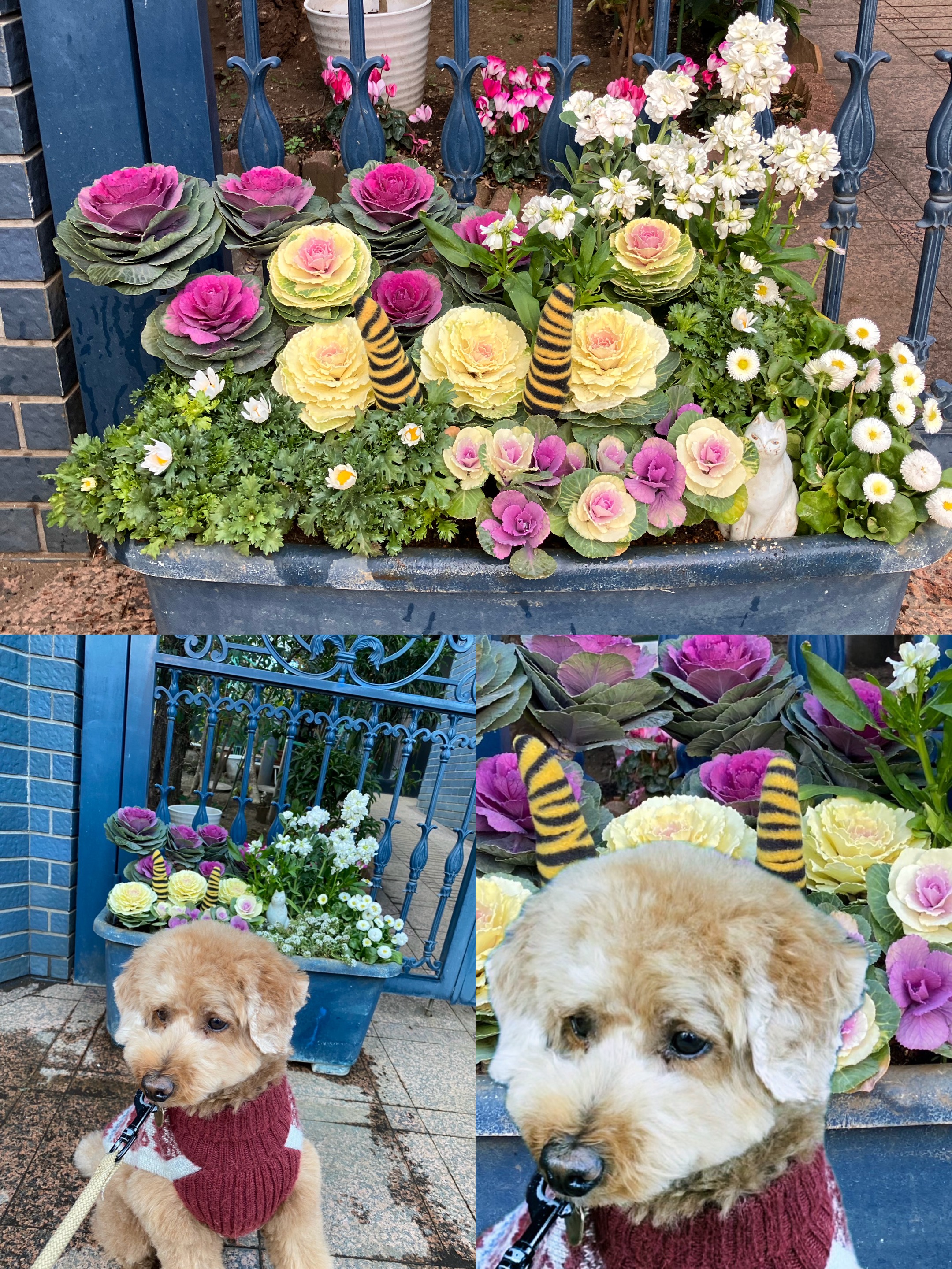 アップロードファイル 2,162KB