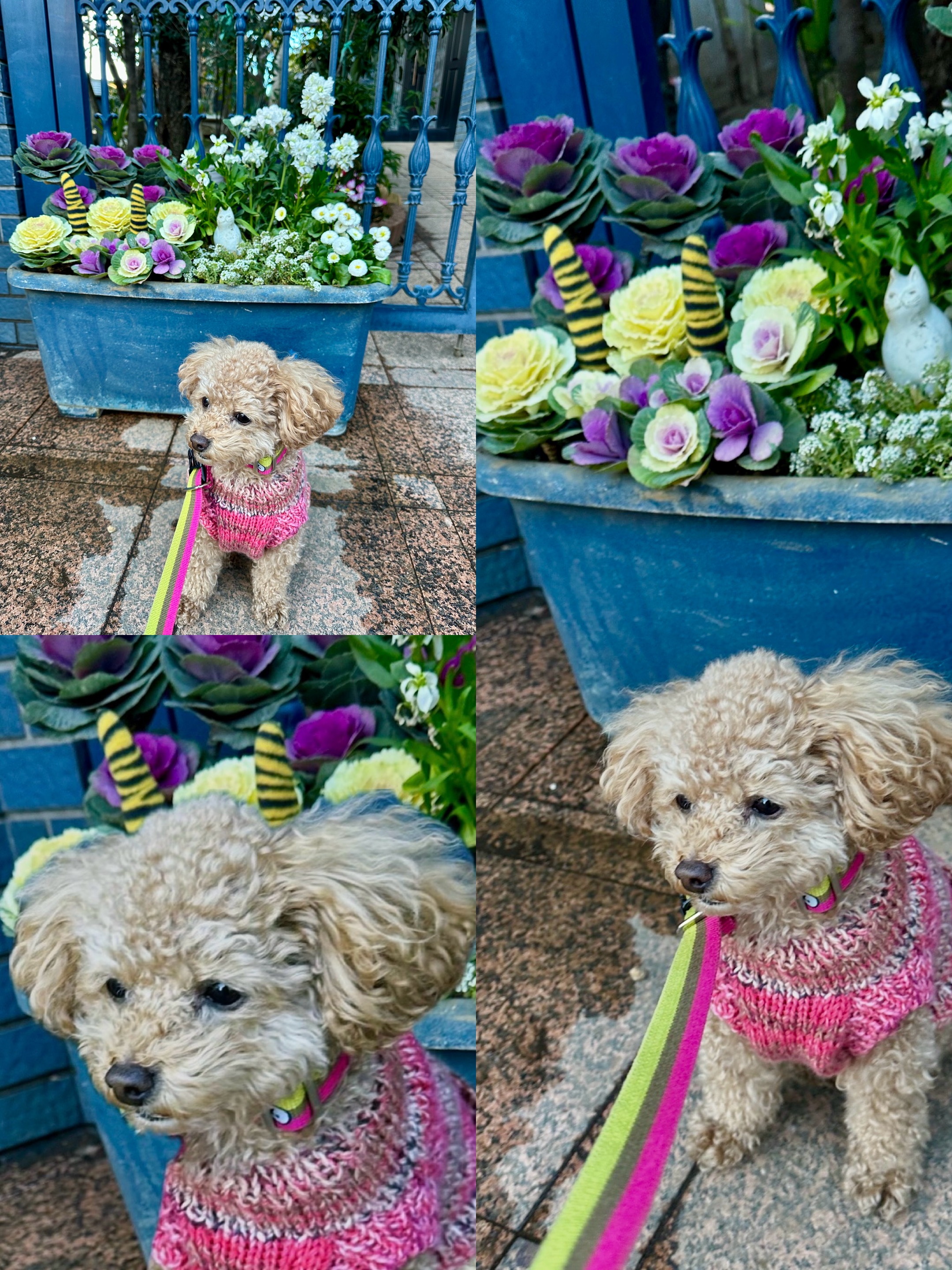 アップロードファイル 1,645KB