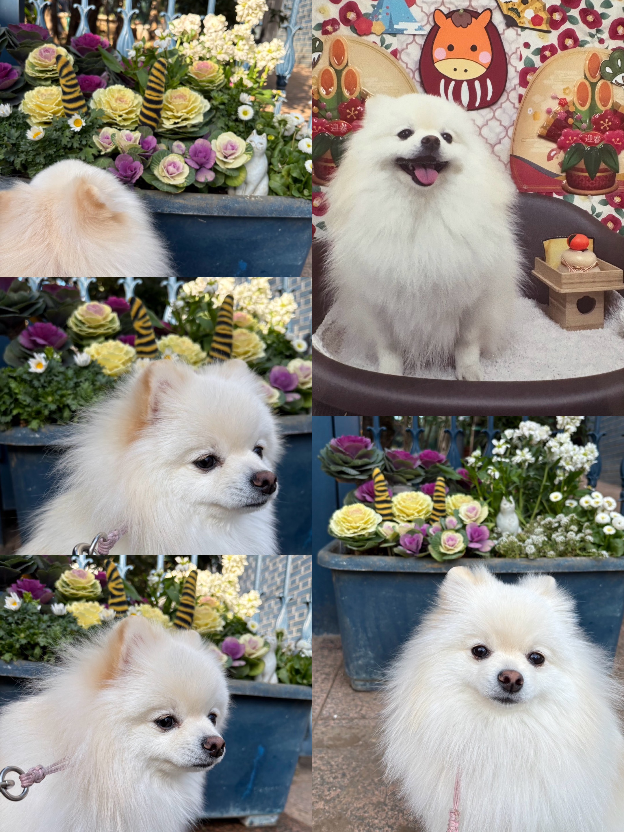 アップロードファイル 1,301KB