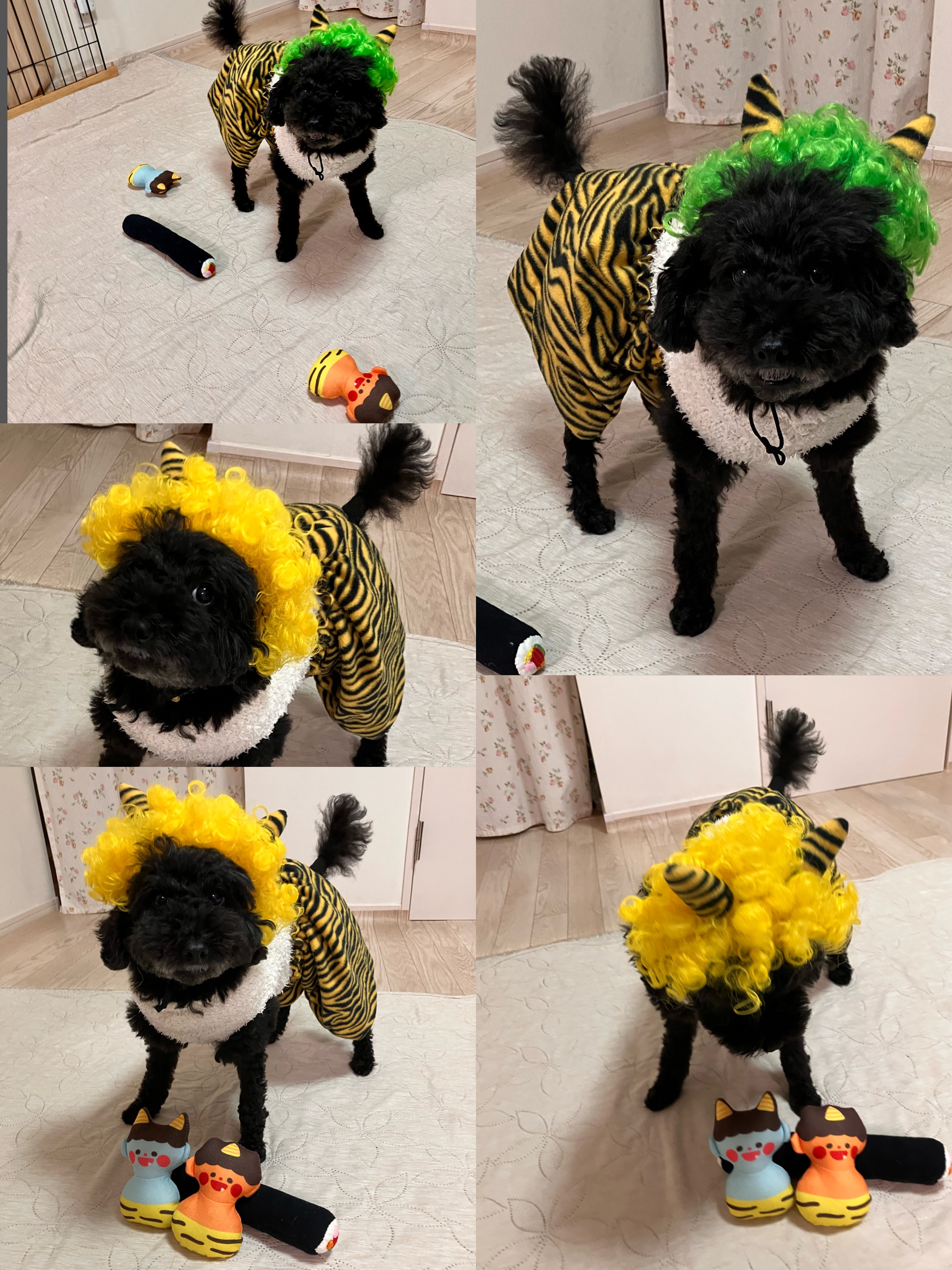 アップロードファイル 1,445KB